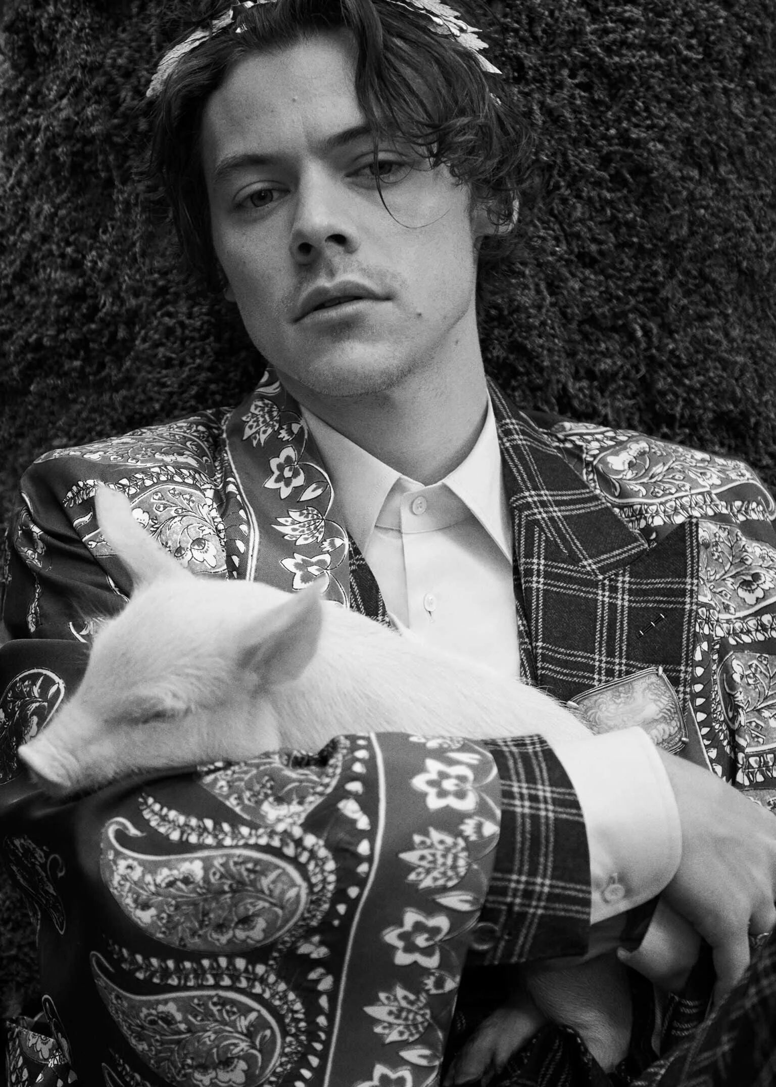 DiaryArticleSingle_HarryStyles-Cruise19-04_001_Default.jpg