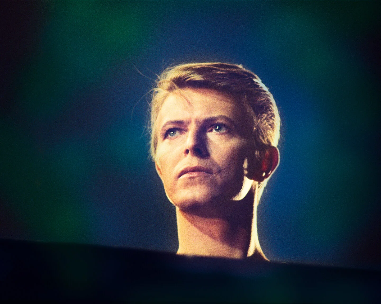 Bowie_Head_r.jpg