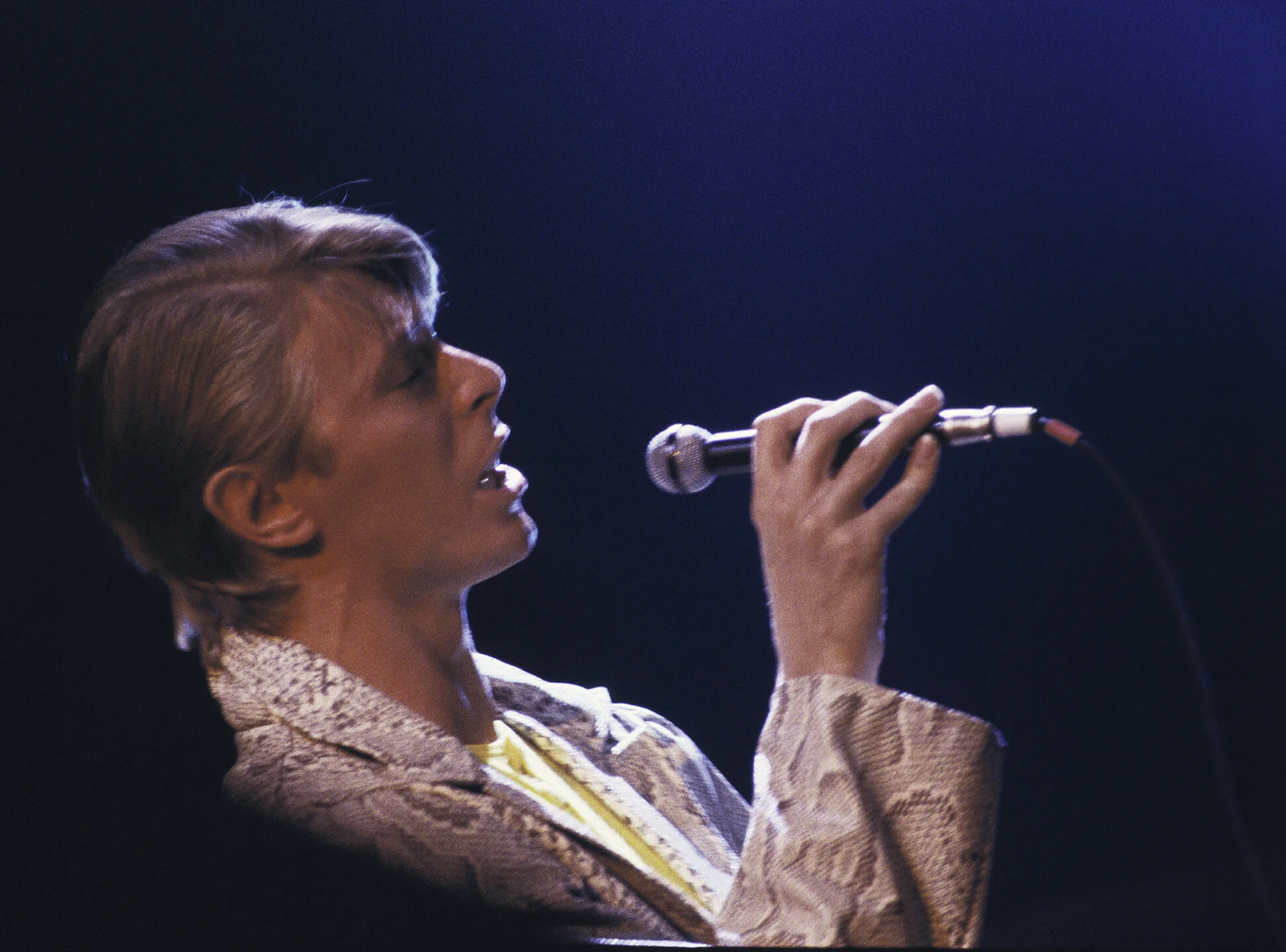 Bowie_Side_r.jpg