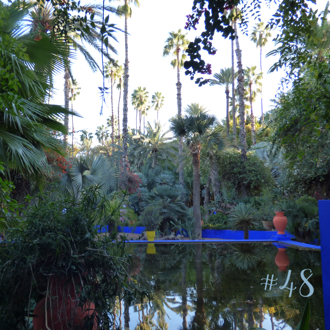 Episode 48: Fresh N Clean