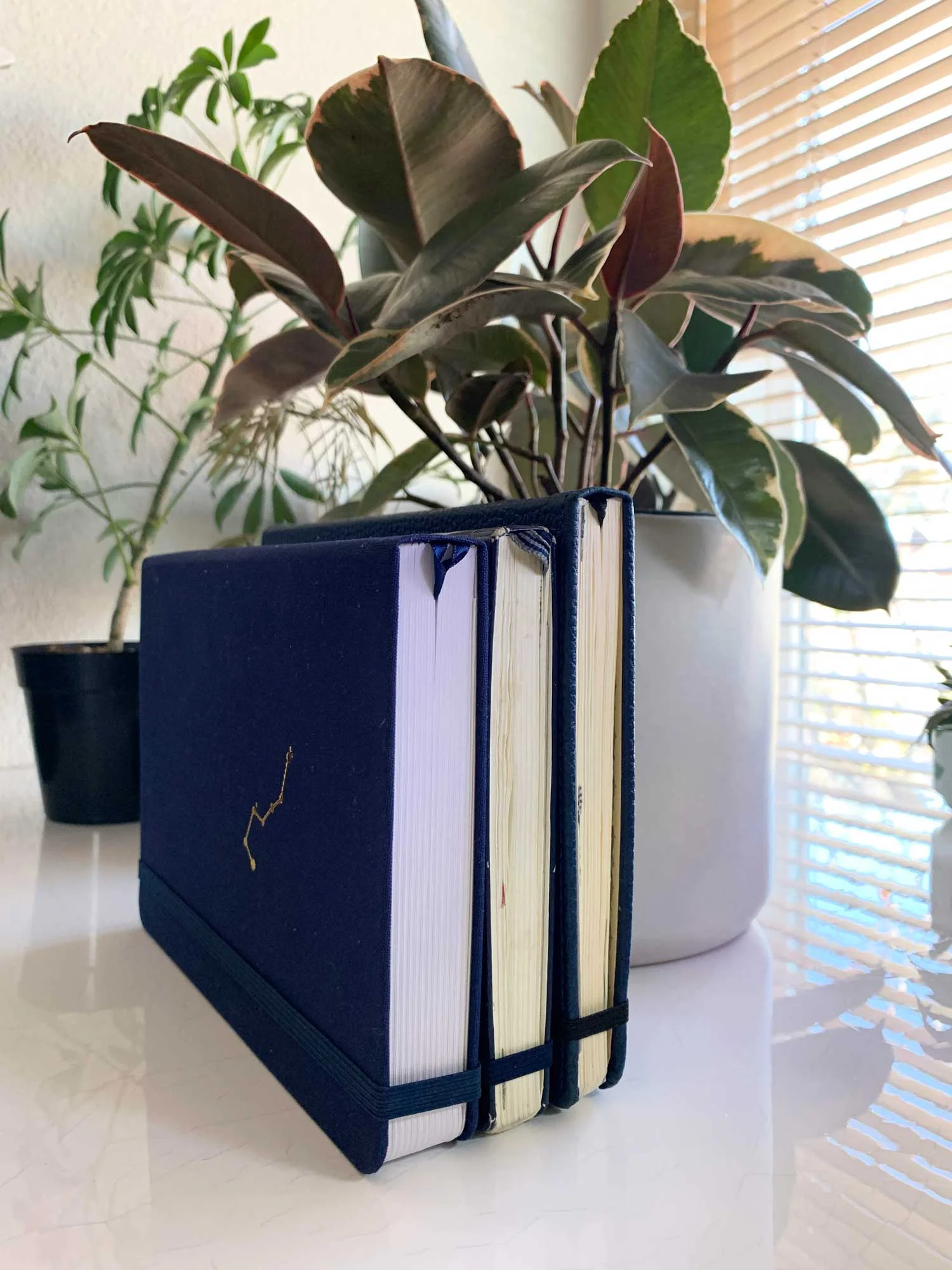 Bullet Journal Notebook Comparison Guide
