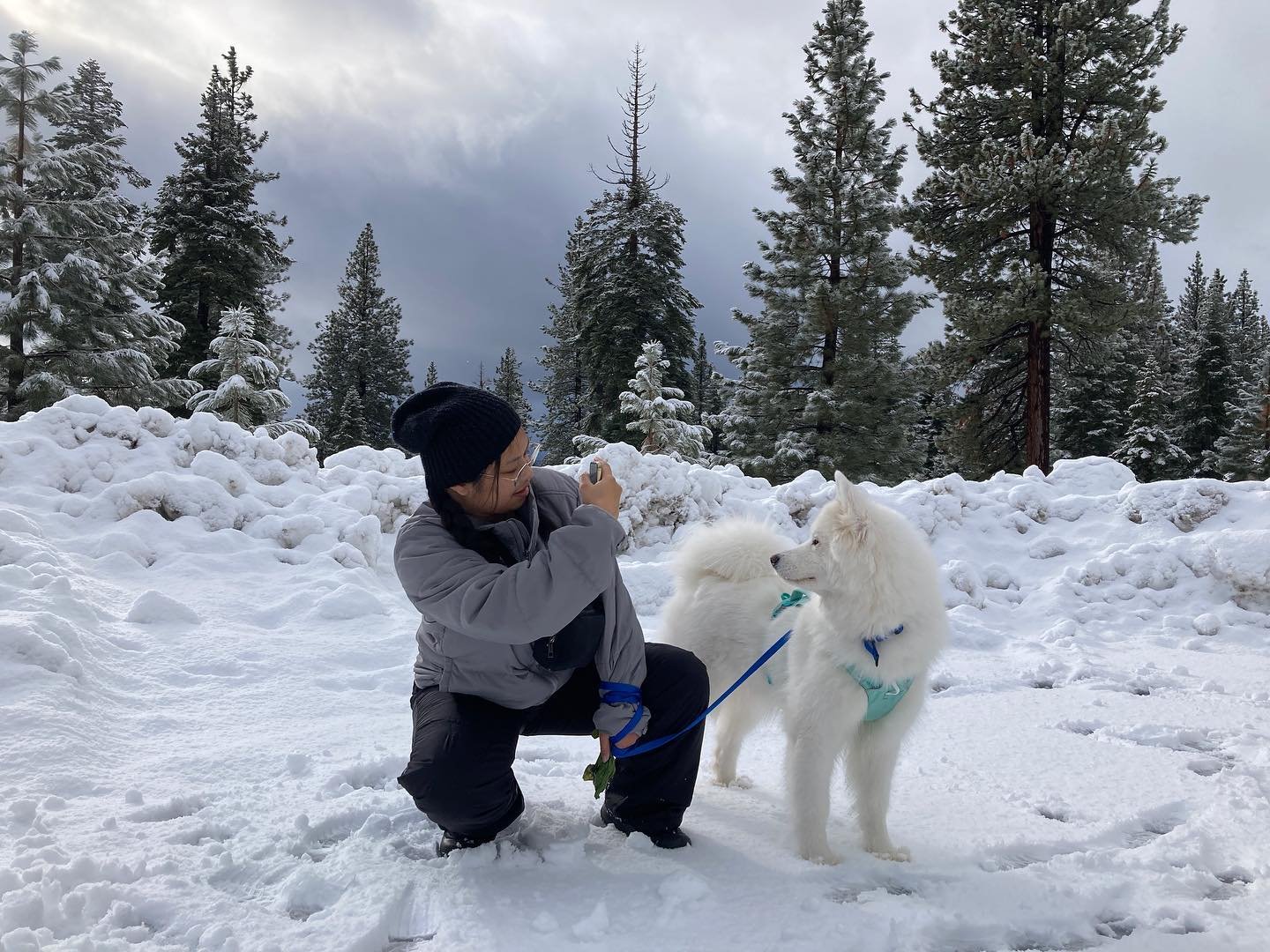 Happy 2023! Been a little quiet this month because I was traveling. We took a trip to Tahoe with Stella, and I went to visit family in Alaska.

I made a video about our winter adventures on YT. Link in bio if you want to see what we get up to! ❄️

Mi
