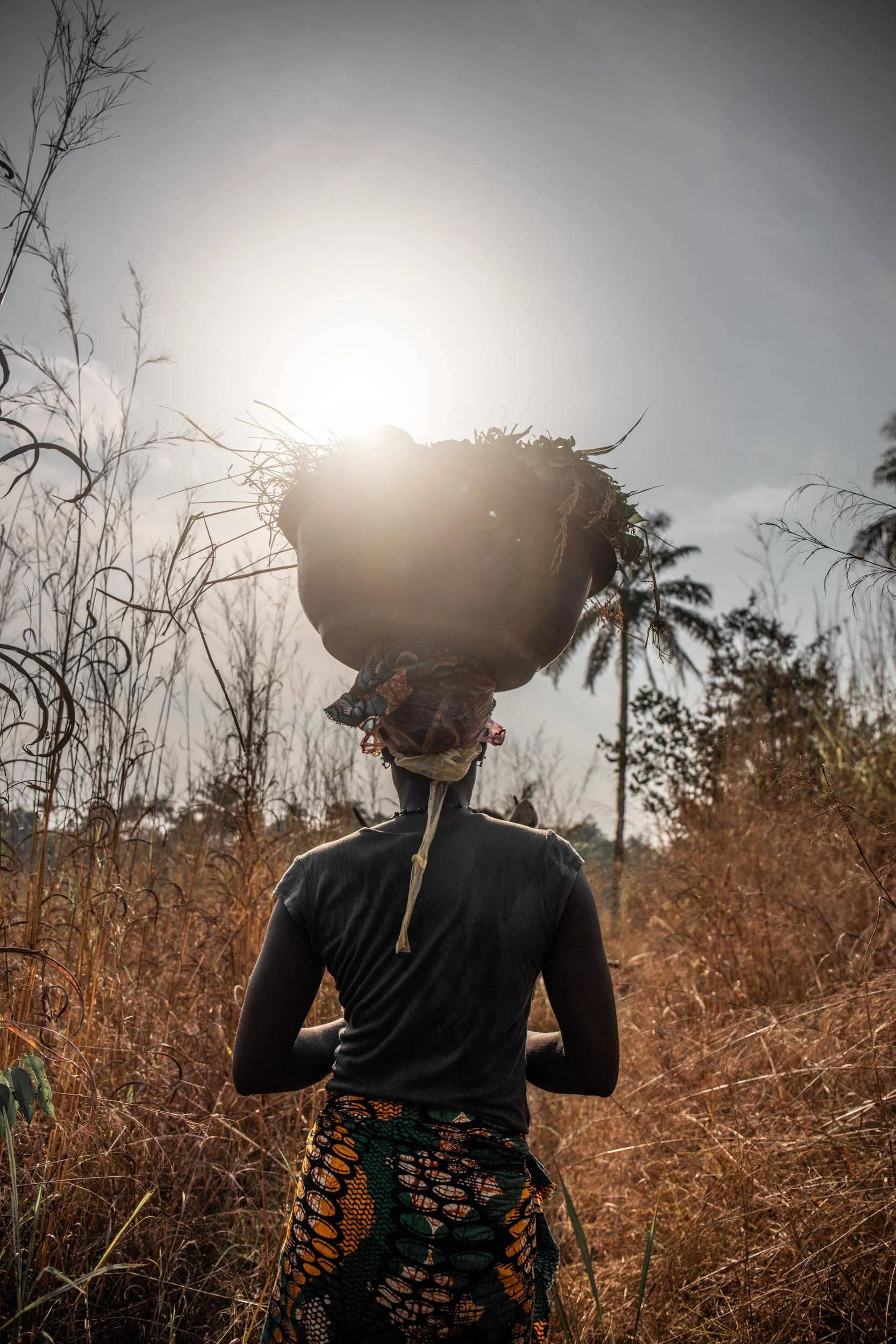 dokumentar-sierraleone-basket-harvest-4-photo-oyvind-strand-endal.jpg