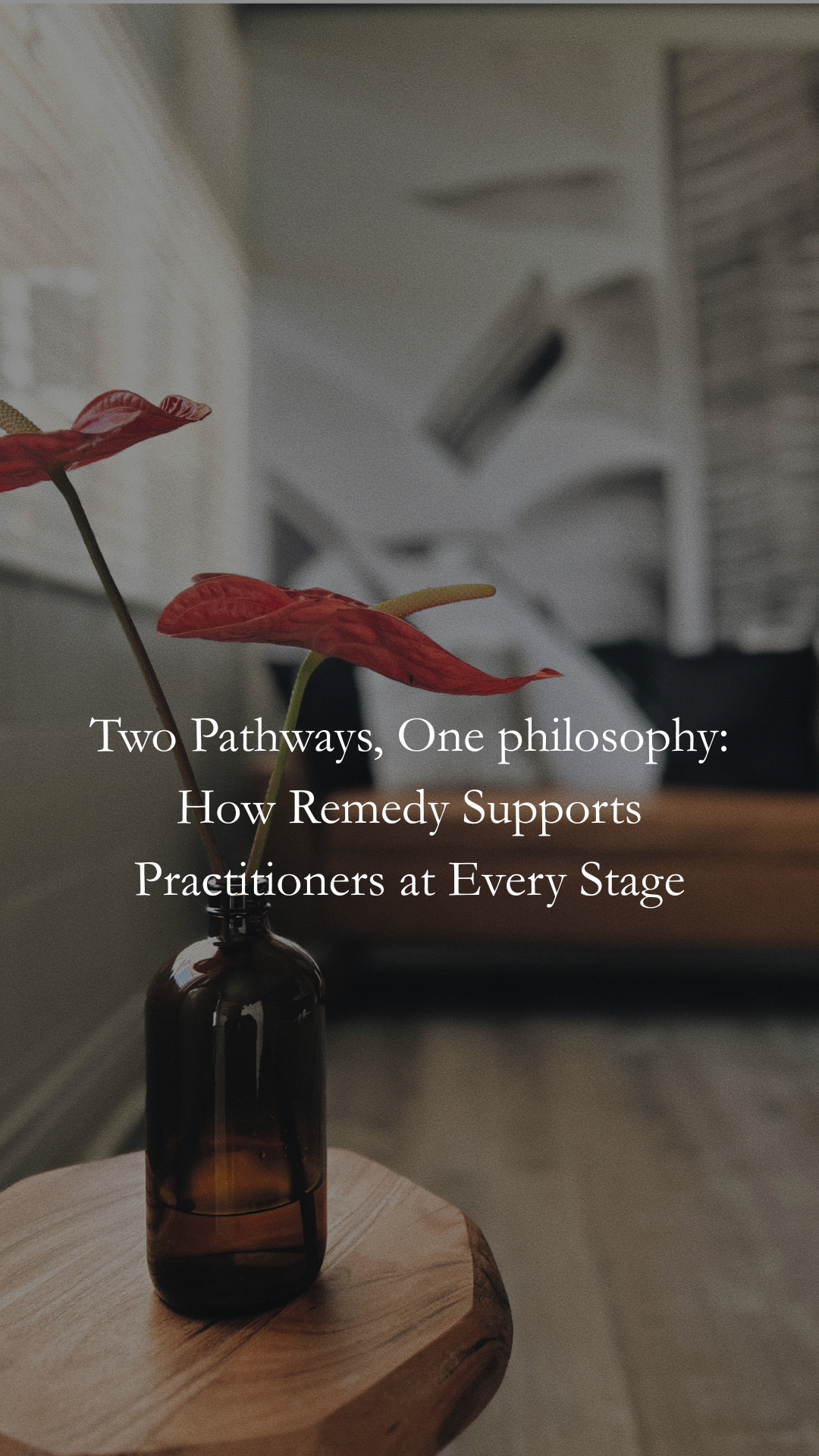 Two Pathways, One Philosophy: How Remedy Supports Practitioners at Every Stage