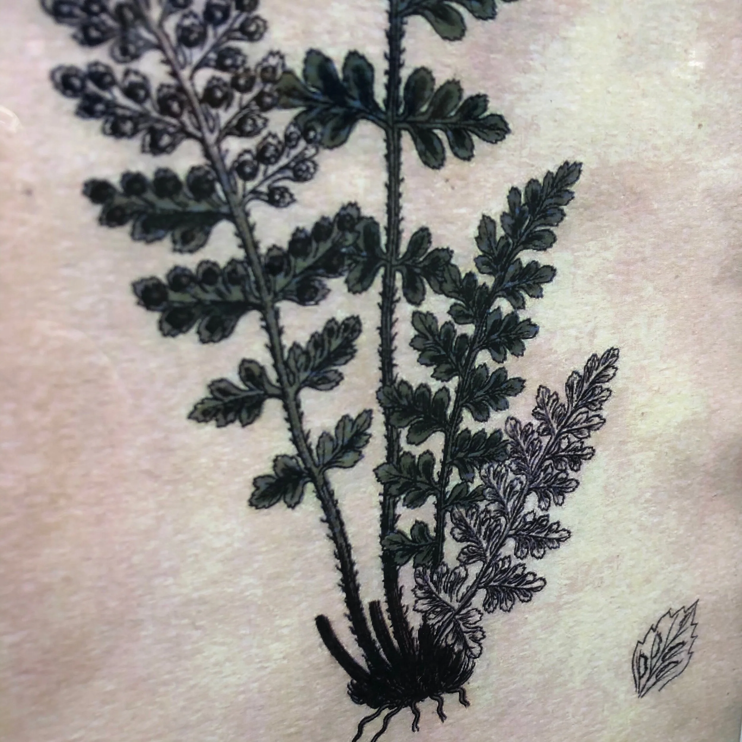 CAF8EBAA-EDD0-4C47-A6D3-5E3D99CF753C