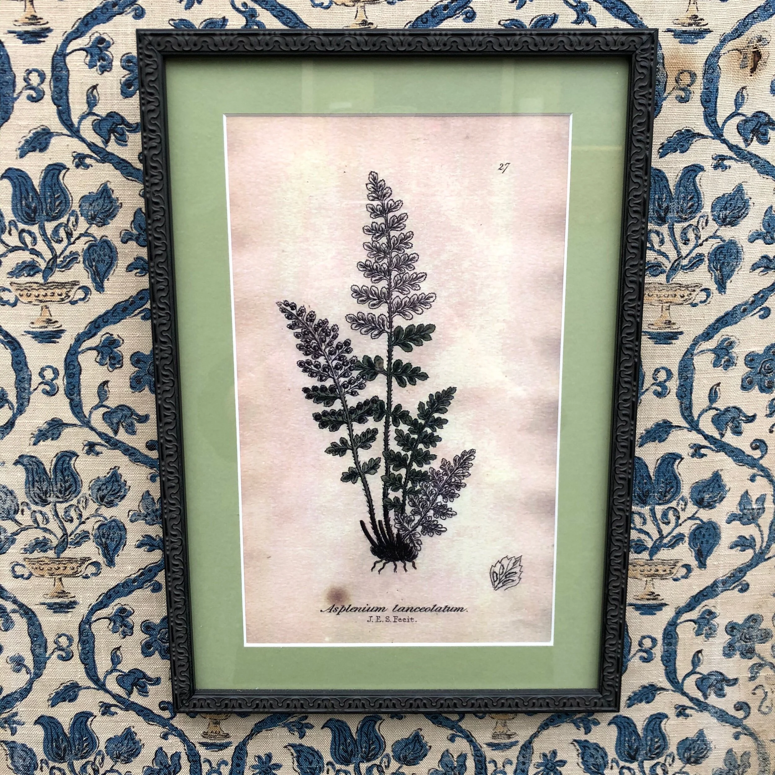 AAA17256-0F86-43DA-BD6A-EFF2DC91A0D2