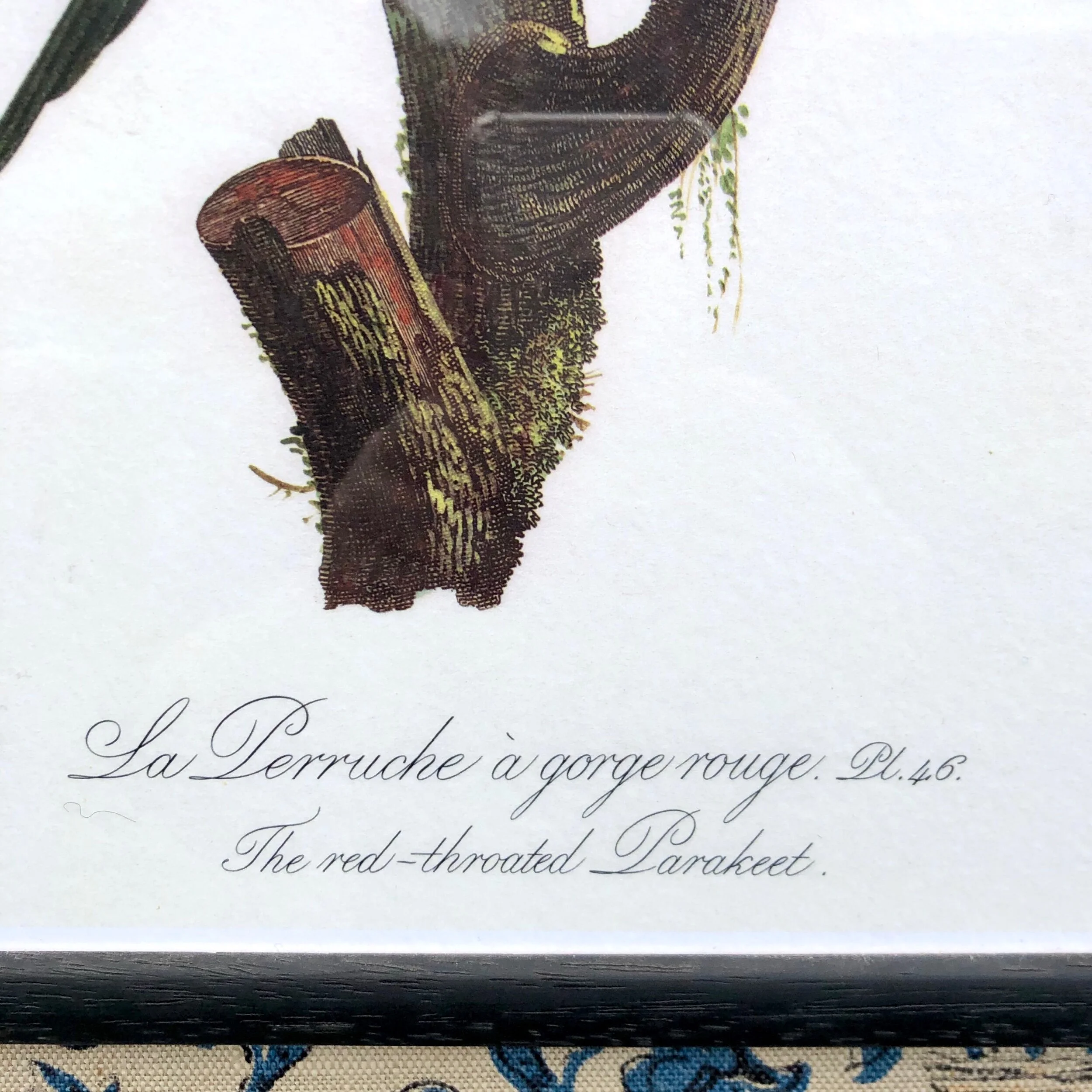 1087250A-591F-4A08-B664-7B0817220127