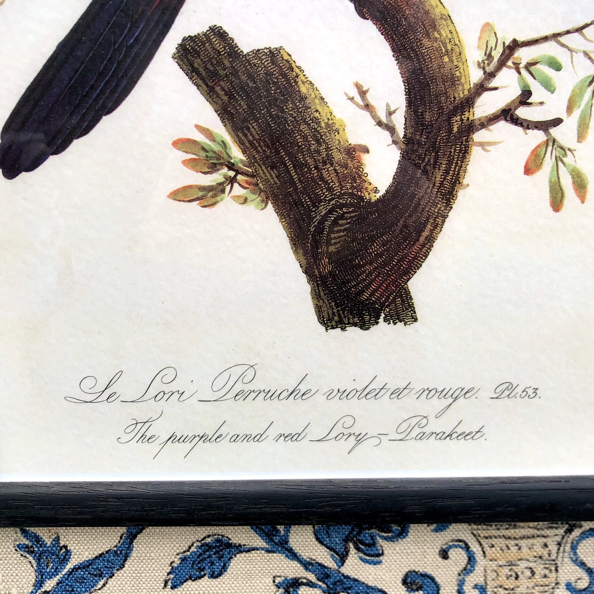 C7915009-52C7-4E90-945F-BF3F0948FC82