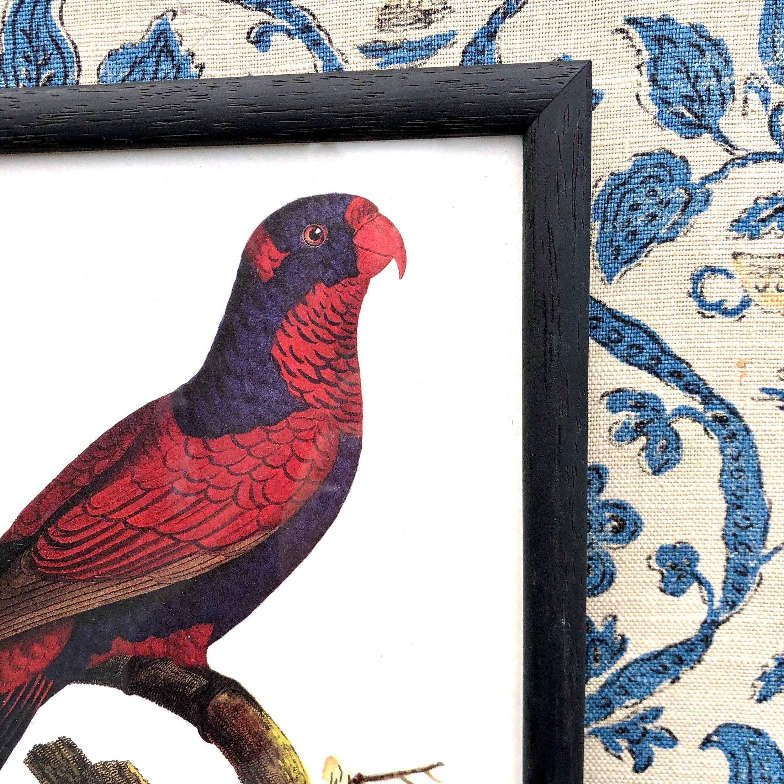 D9BB1B85-94FD-4F5A-8680-B8545DB3C652