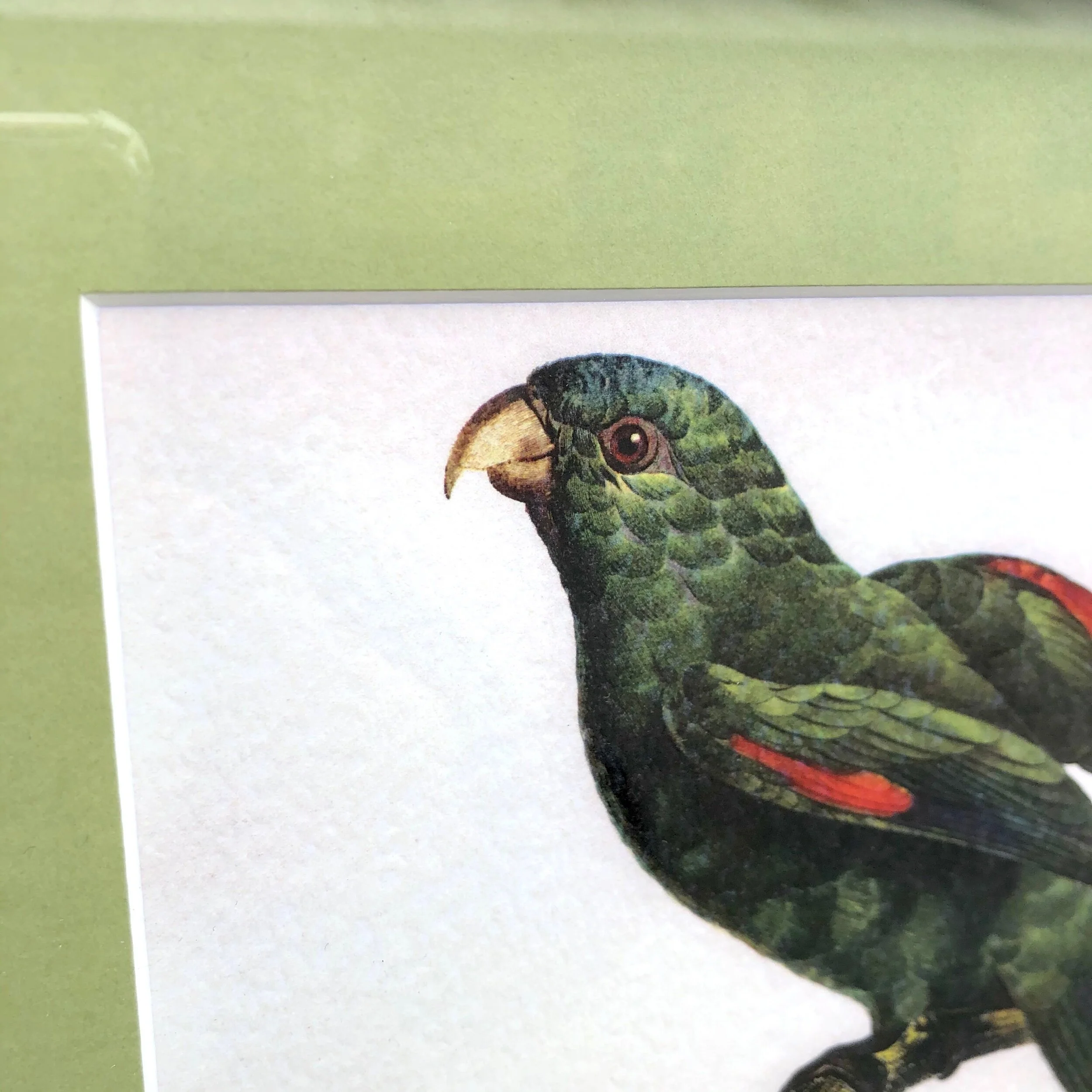 F23A4D49-B8CF-46DD-BA4C-3211DCC922BD