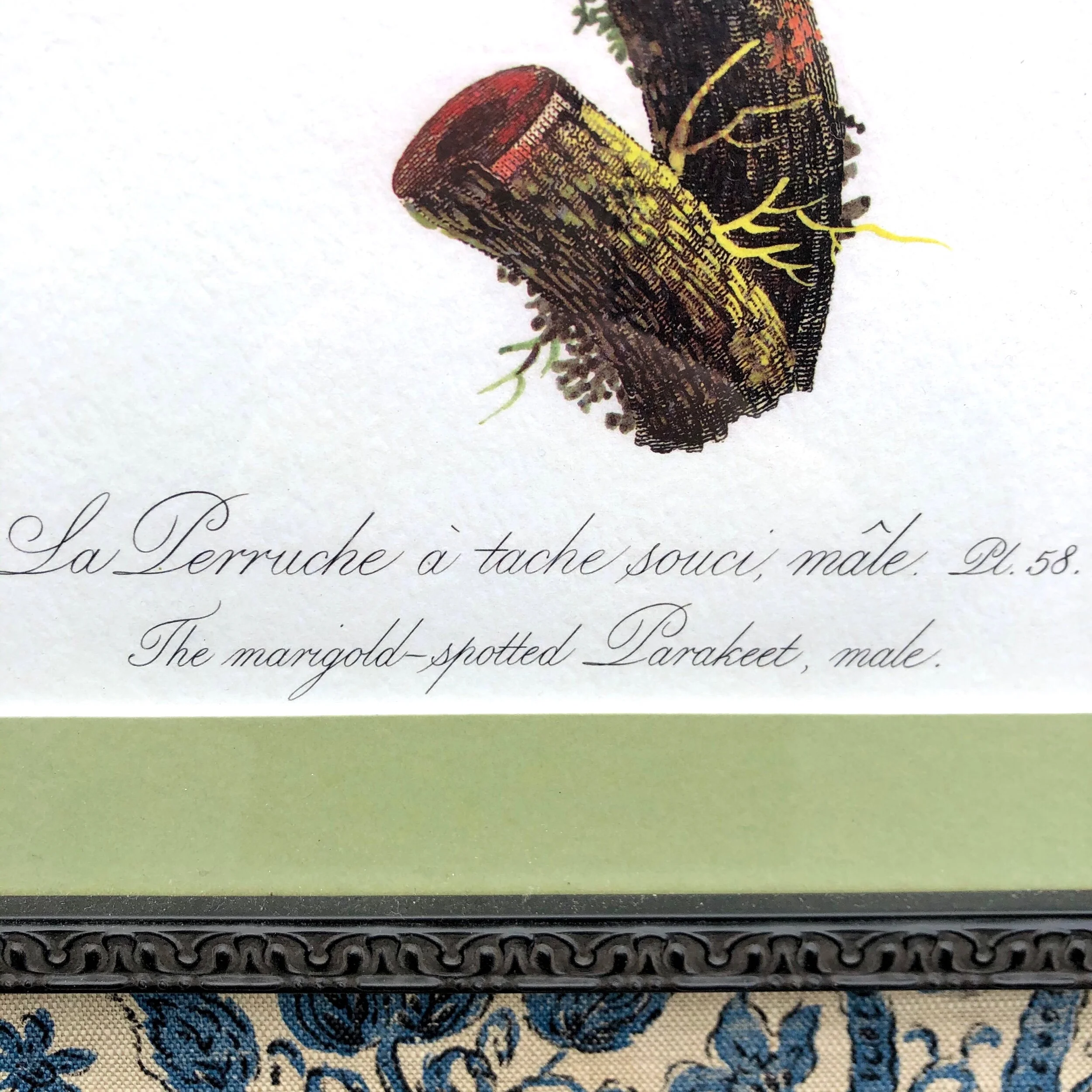 5D284B38-98CC-44FF-9E87-67EE9A48E42E