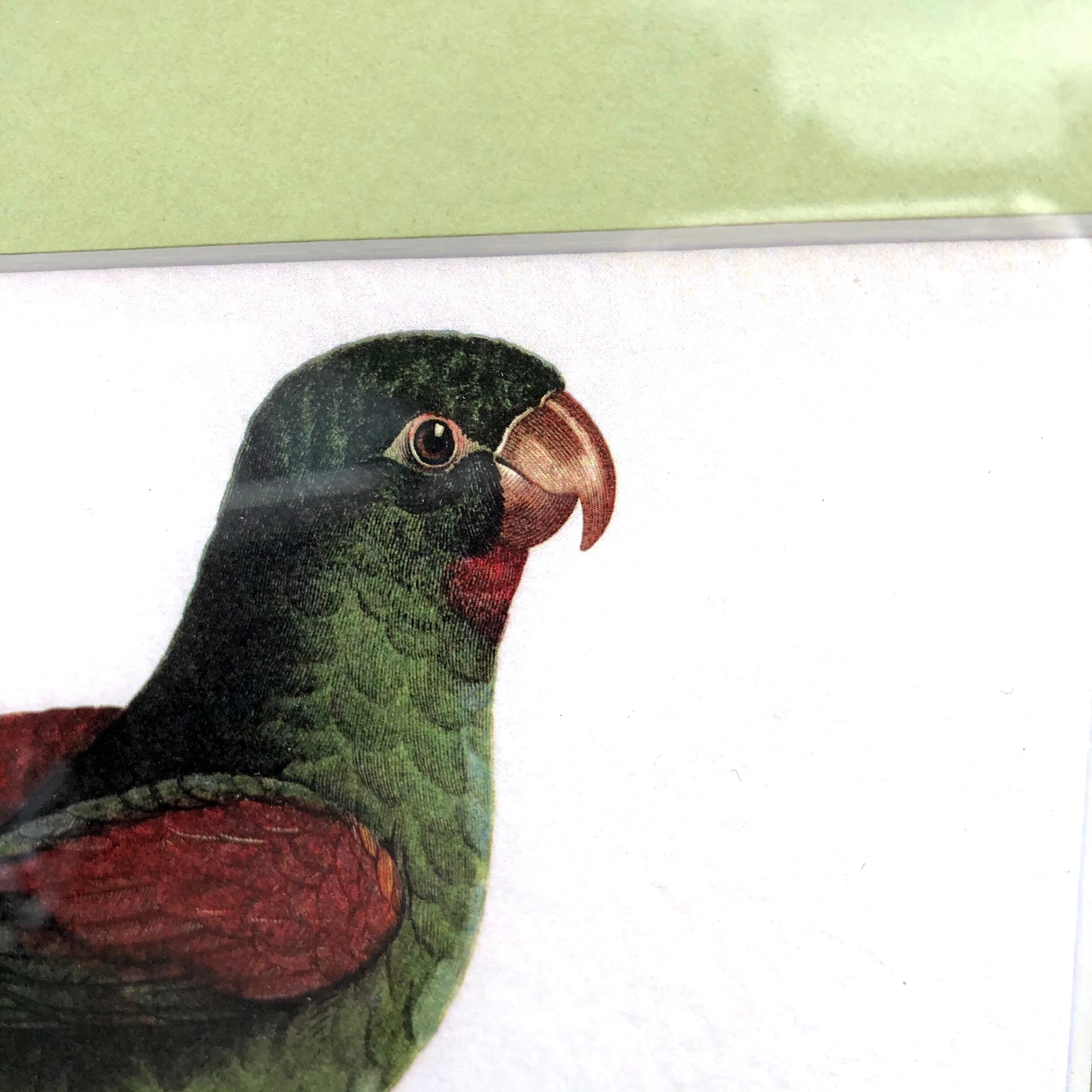 01577271-EF83-40EE-9108-25DB9A9D2EFA