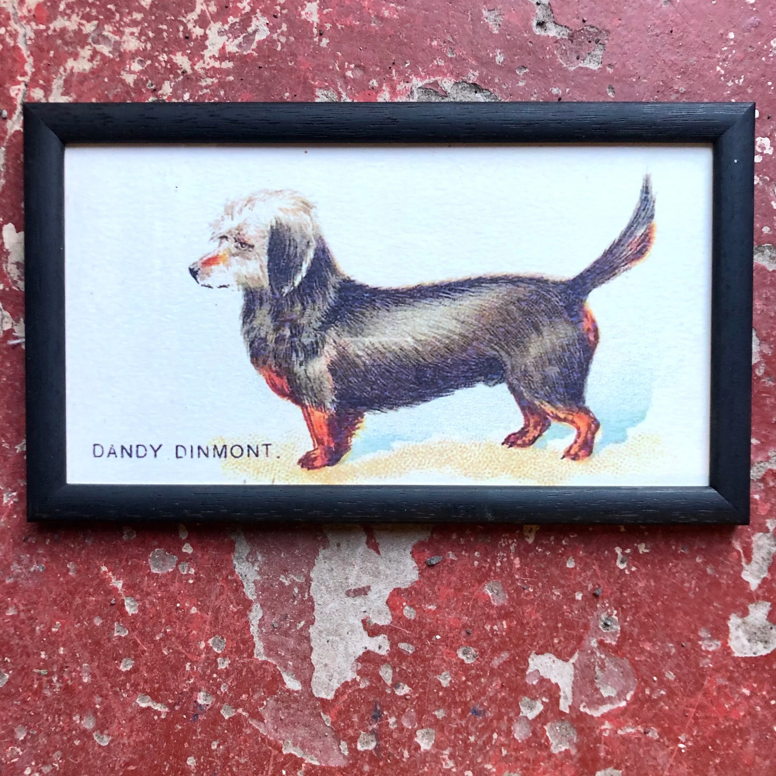 C2A258E2-E19C-41A1-A863-7A28B789B6A3