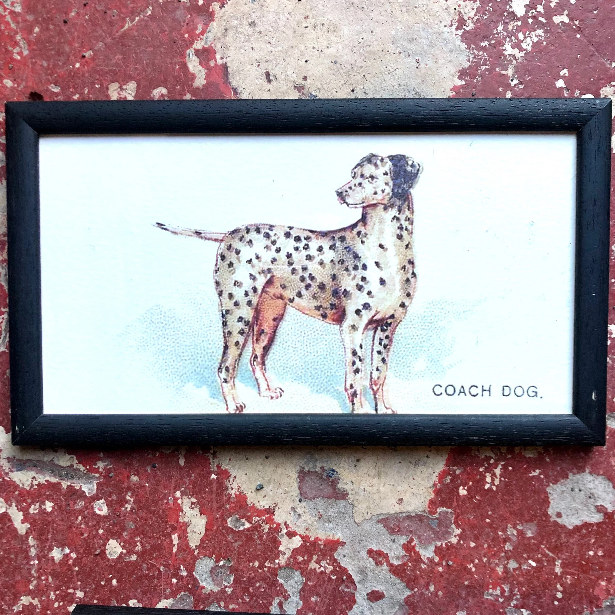 A03D238A-A044-459F-AFCD-D2812198159B