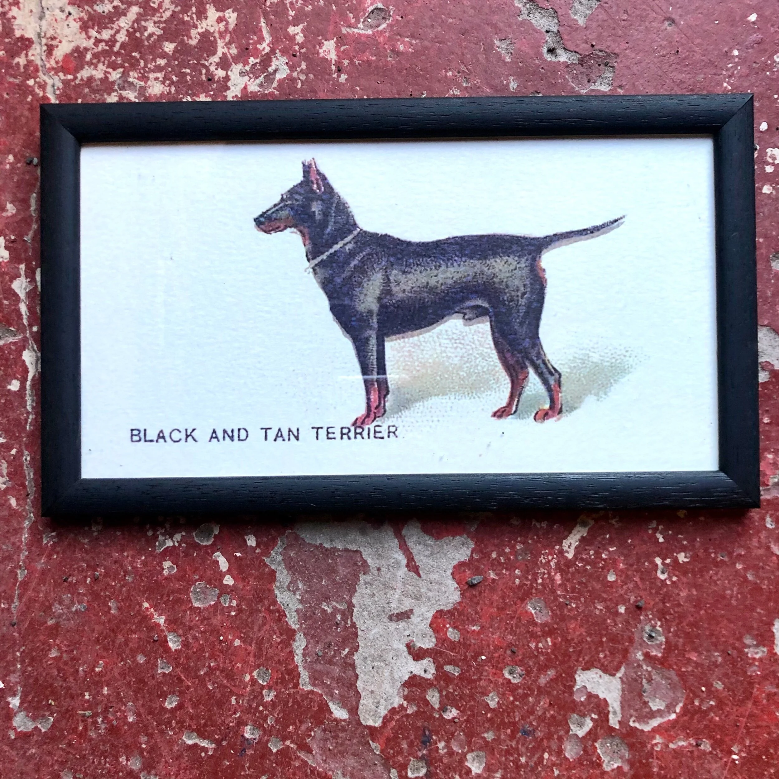 C77B5199-957E-4C39-8721-7CBBFD16534A