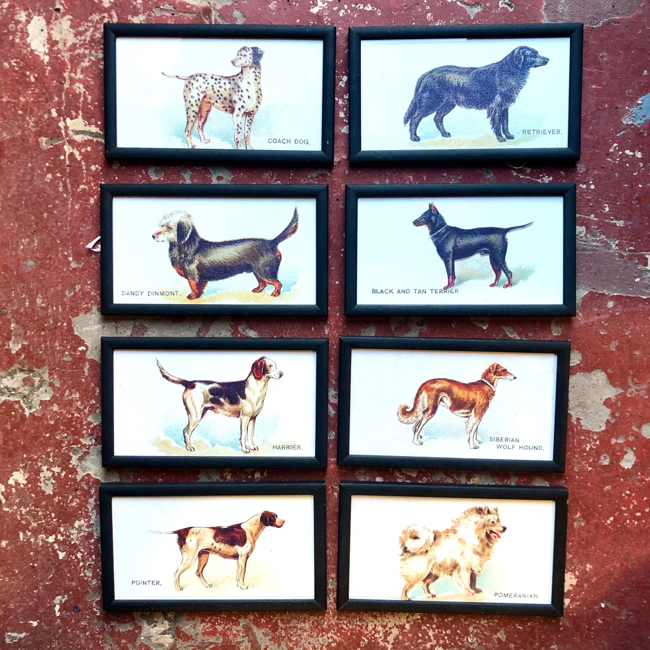 7E7E35E9-81F5-4BDD-8DEC-533E65E55F4A