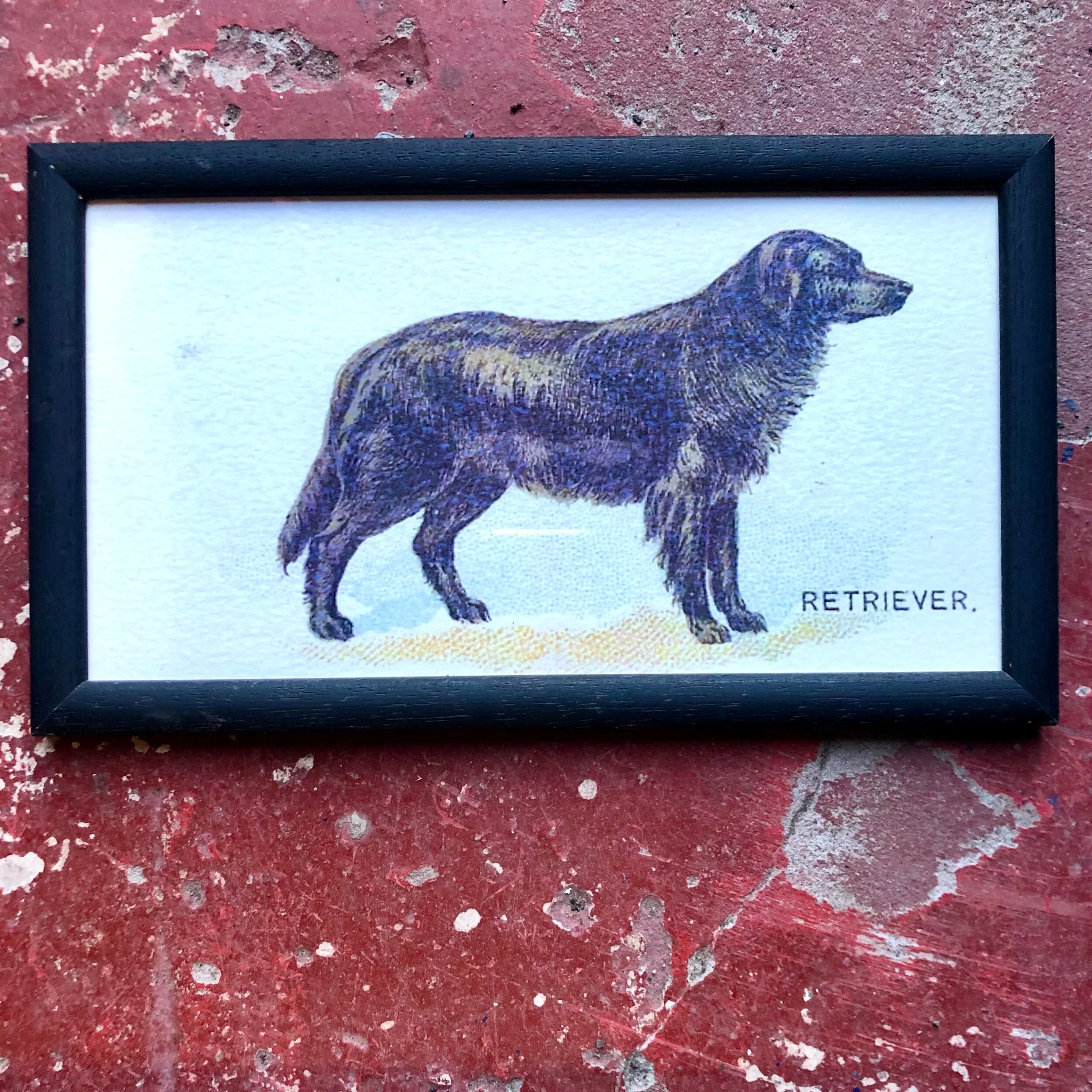 AC106723-6A65-4281-B06E-C13B6E9DA2A6