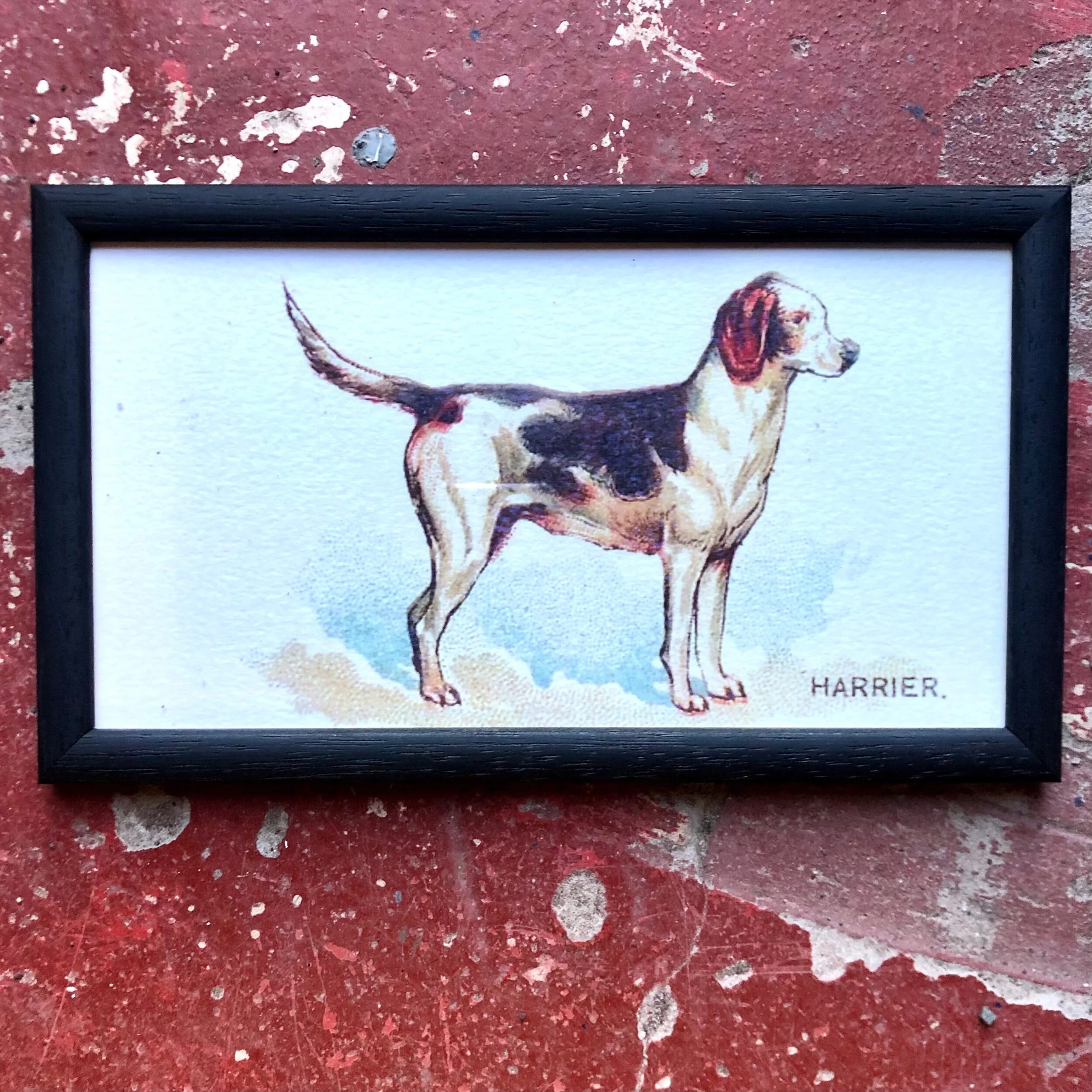 160EF261-F45E-4D77-AEE8-68DFBF0FA776