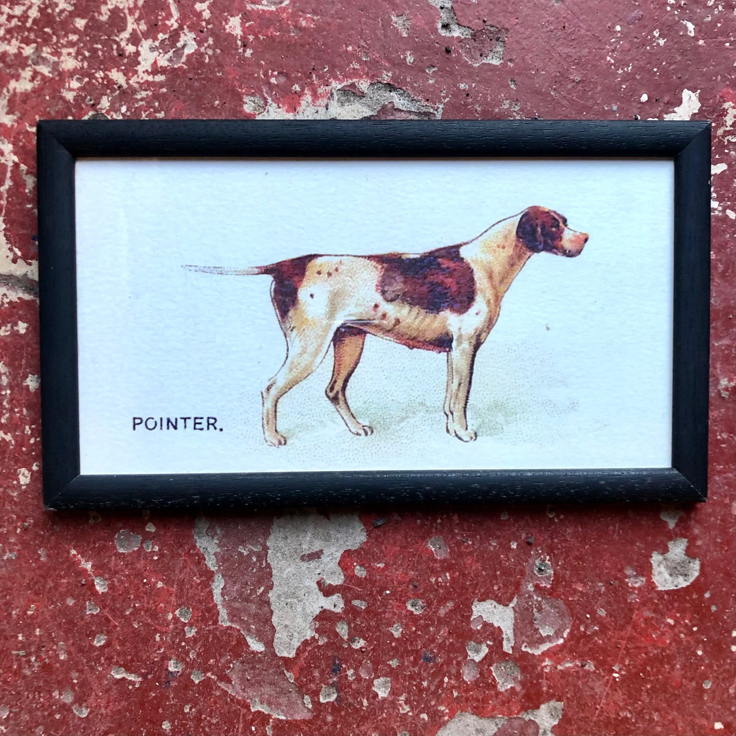 924BDA60-9372-48C7-83B8-691B3E751BD3