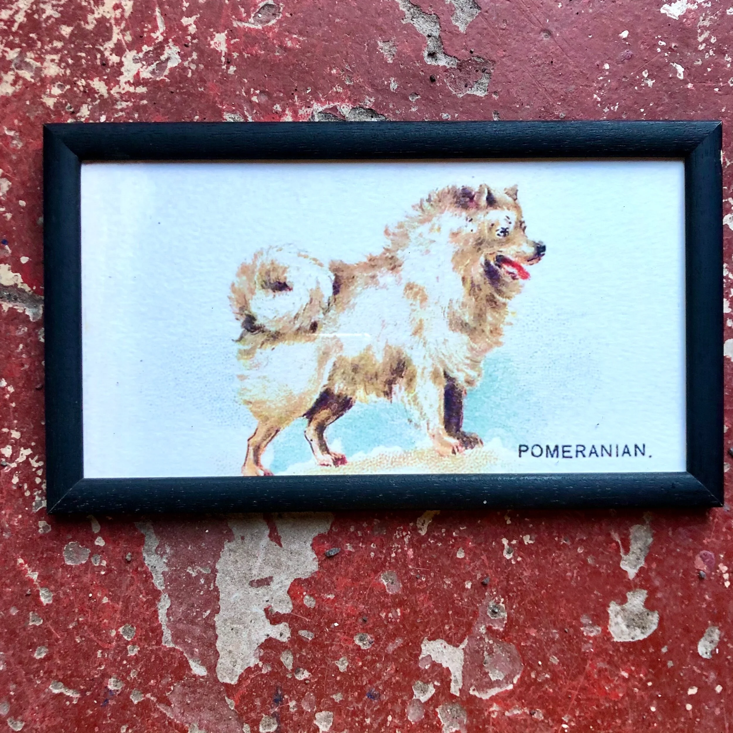 21CA2068-1A9D-480A-A2BA-5C76E7B39F14