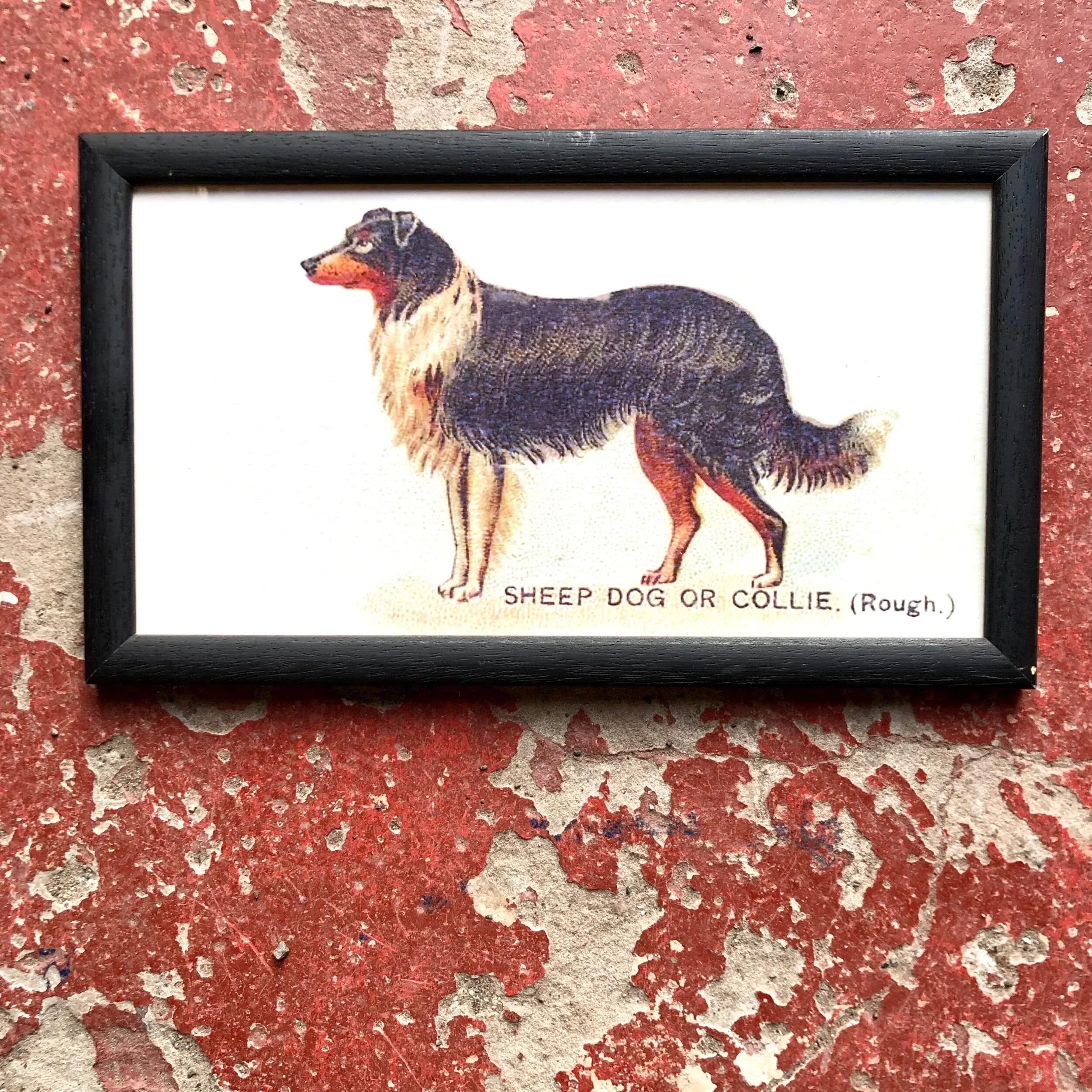 7EAA2BB0-BAA4-476F-8C4D-60262ED73CE2