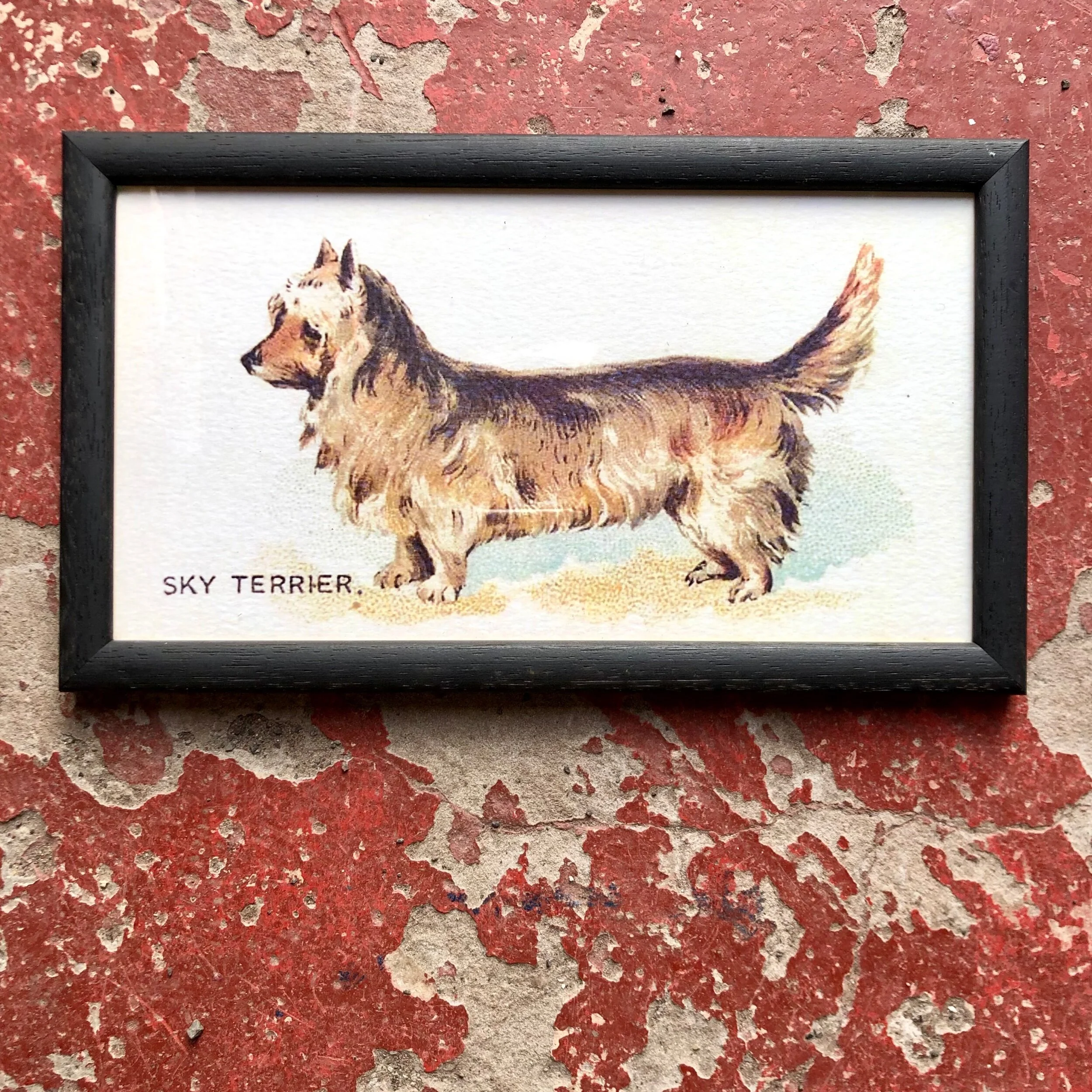 7905E258-5699-473B-B143-9D2528804489