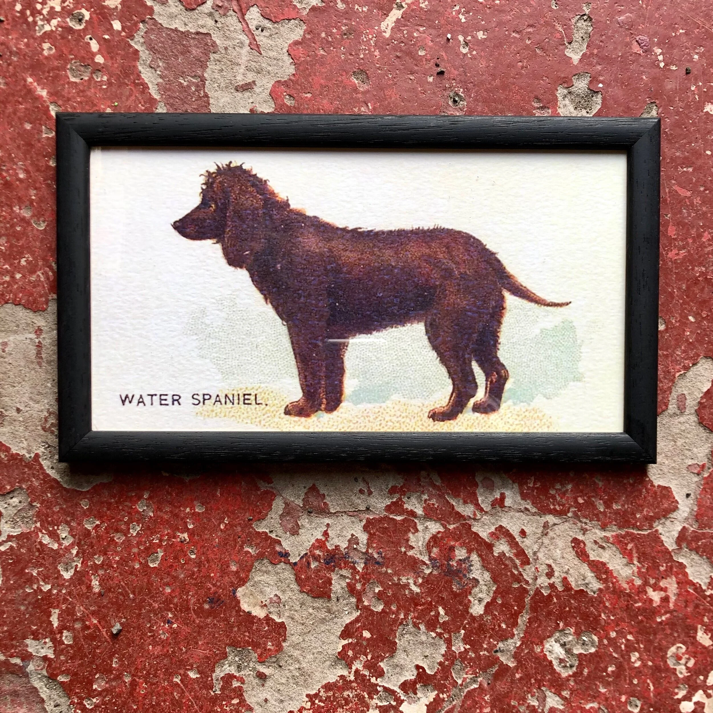 A608B2AD-3596-4AA6-BEF2-76B6CBA8BE05