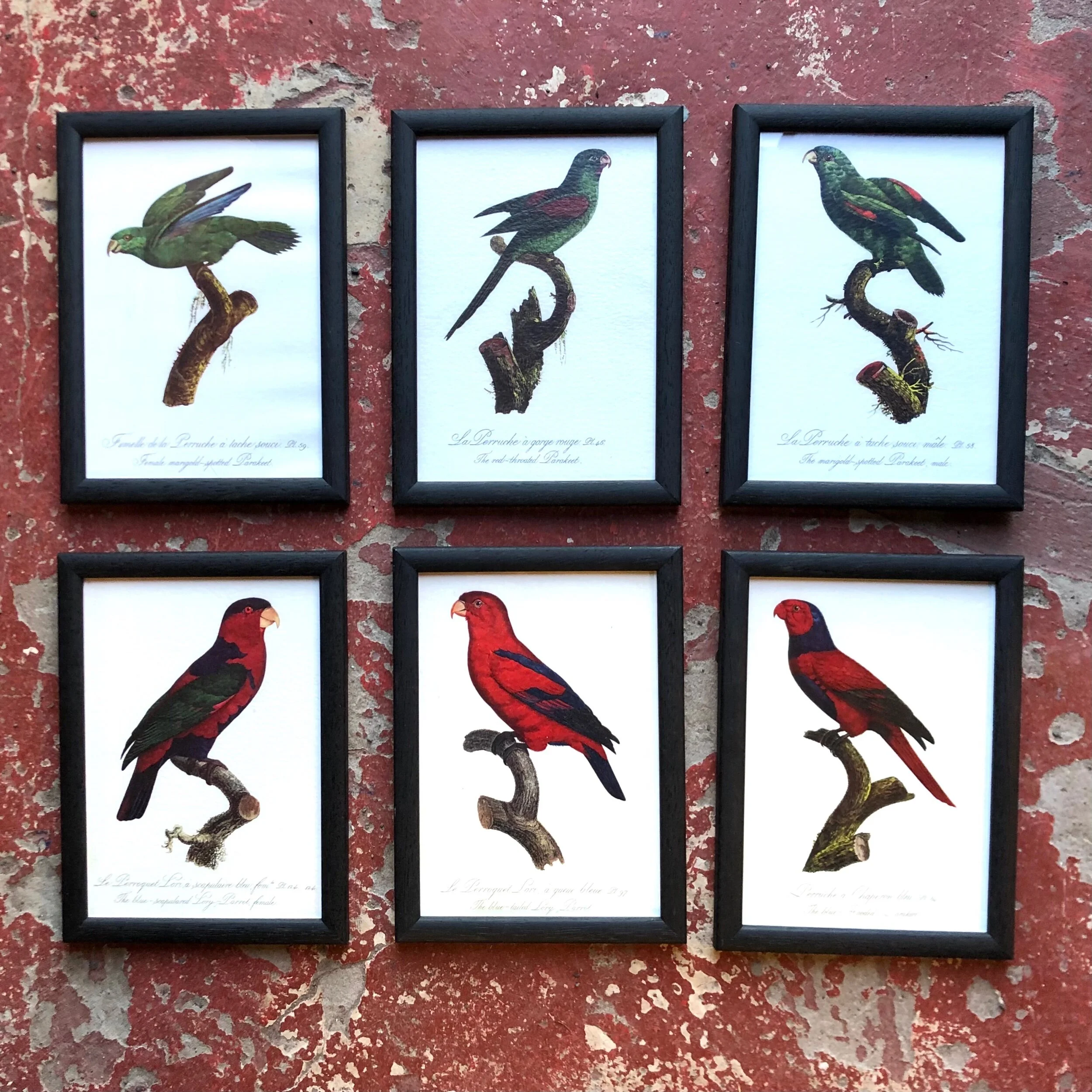 BC504D7B-5789-459A-B8C6-194B77311E5D