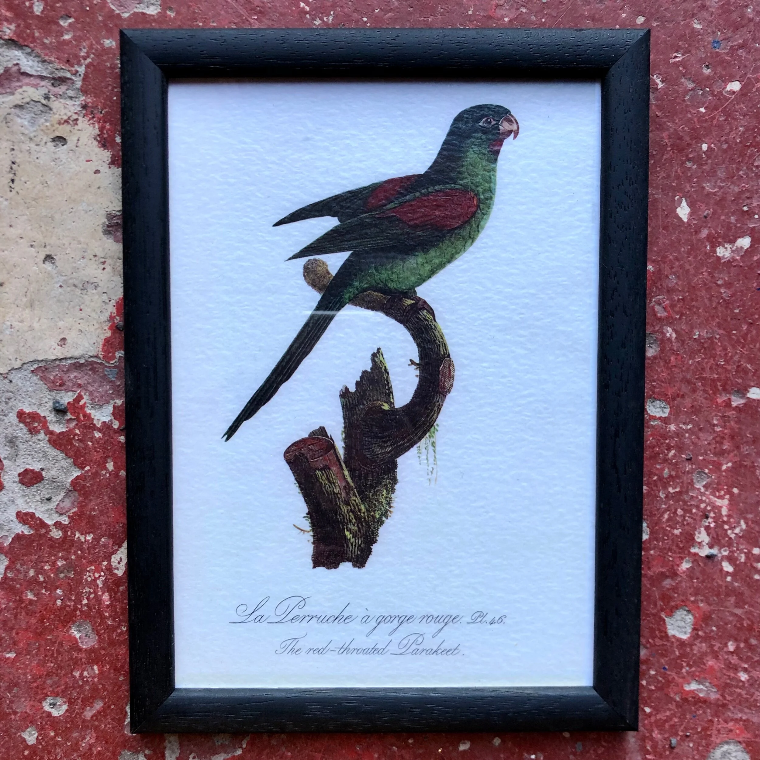 08ADB661-7225-4128-A59F-5699F86361CC