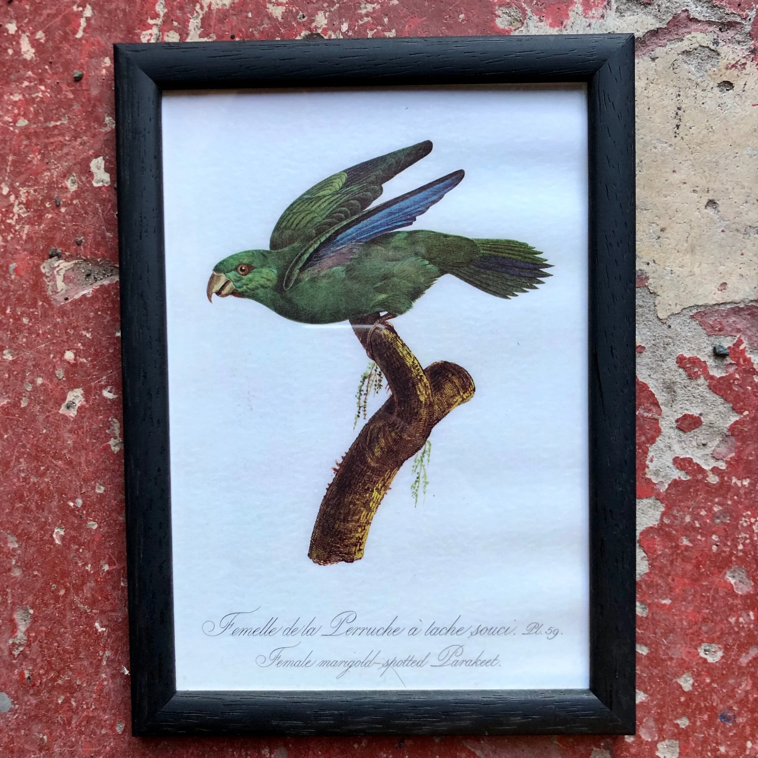 4790AA2D-D3C7-40D3-A8BA-FE77EBA2B2E7