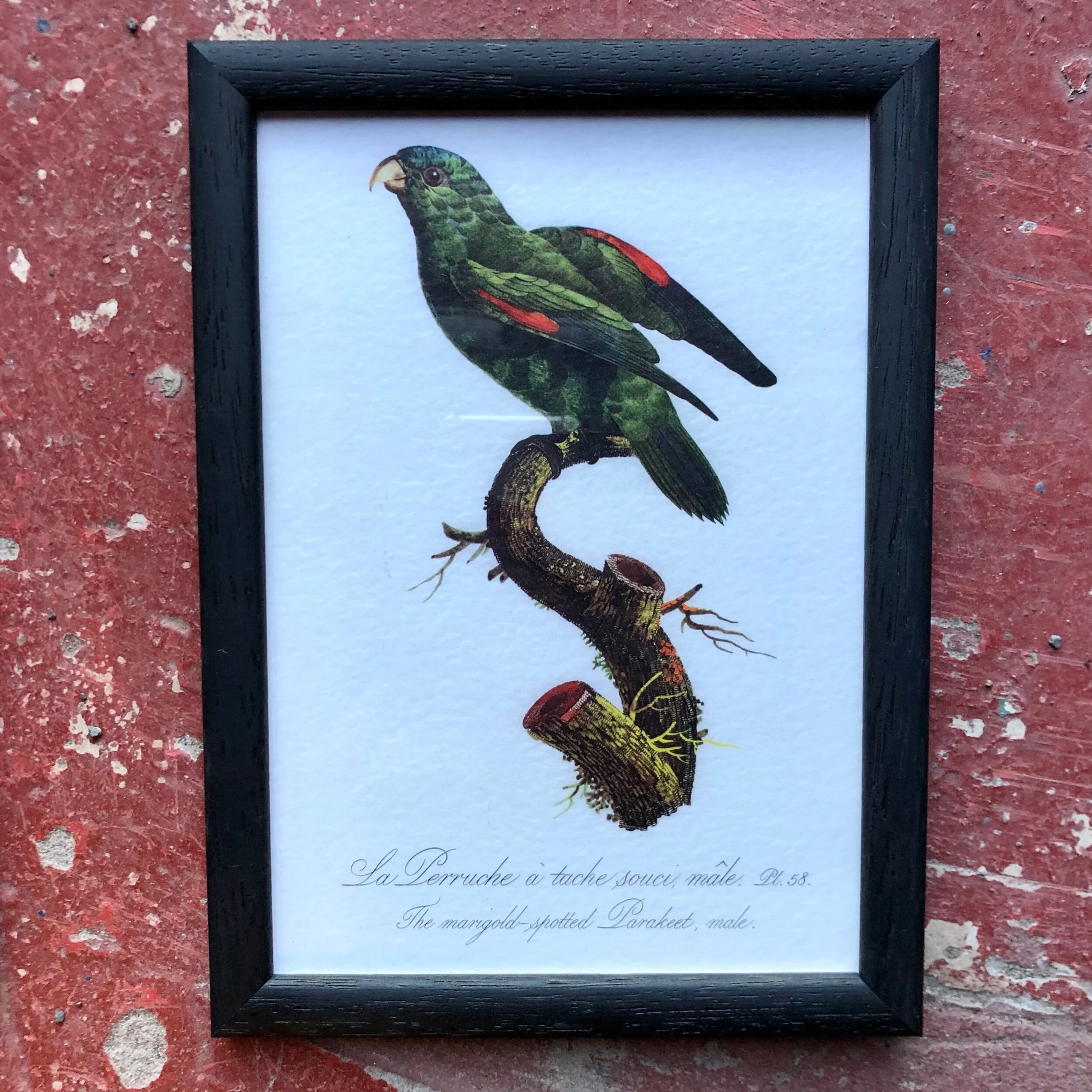 B9656E7A-1E9B-4799-9CFF-66296B360A6F