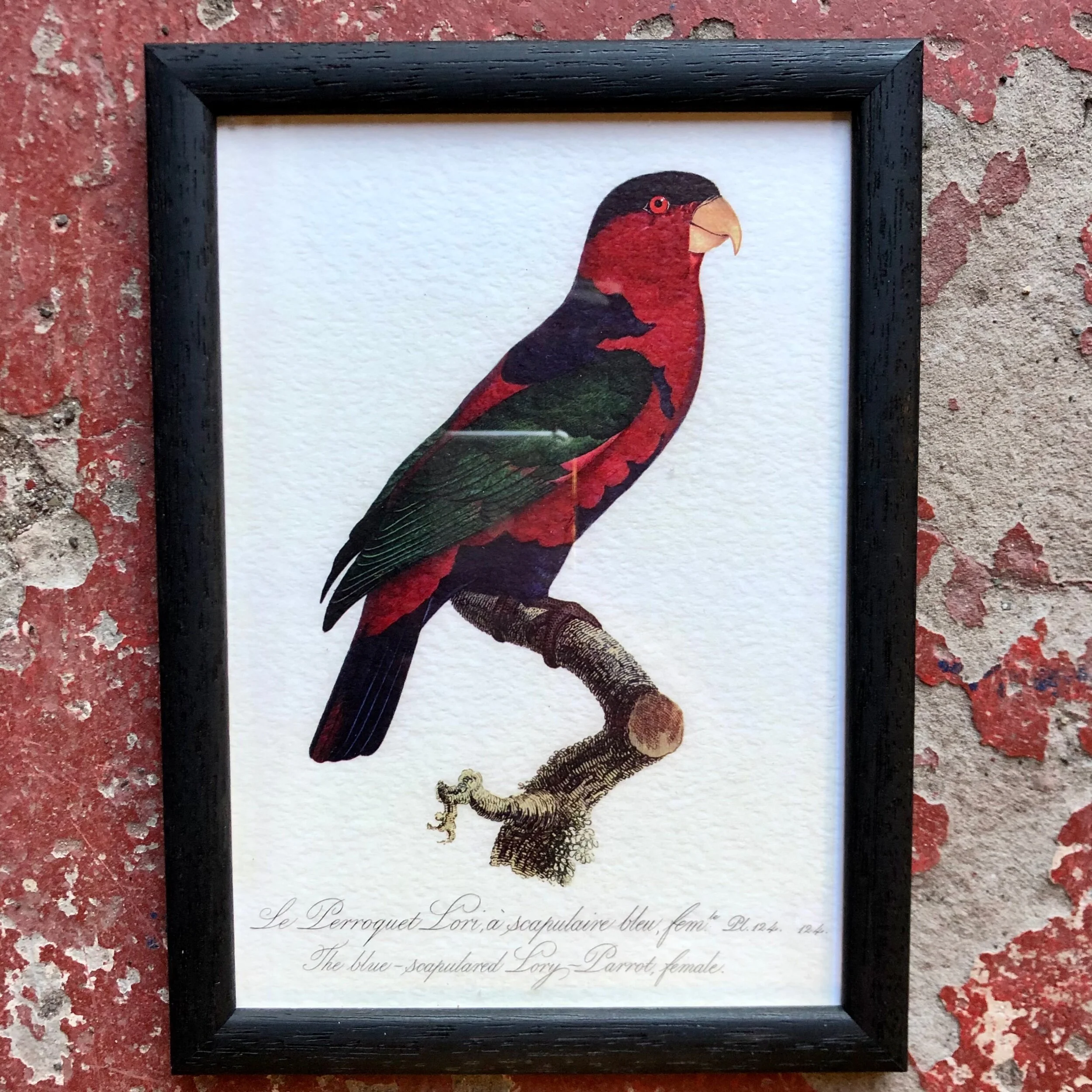 998A9AA7-518F-4CBE-B008-538A4D3FAF18