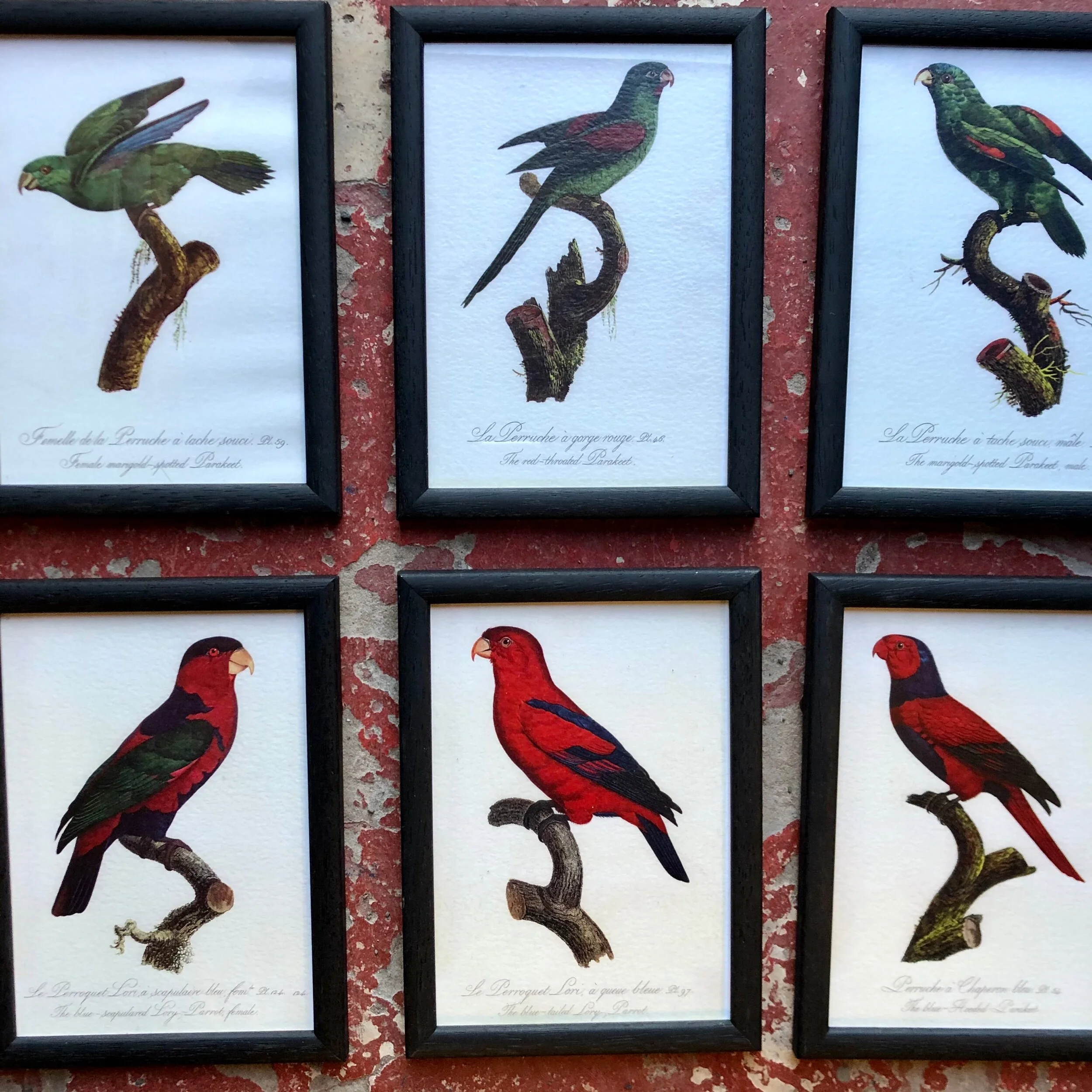 106B49D1-40B7-460E-8418-F03BDEE3068C