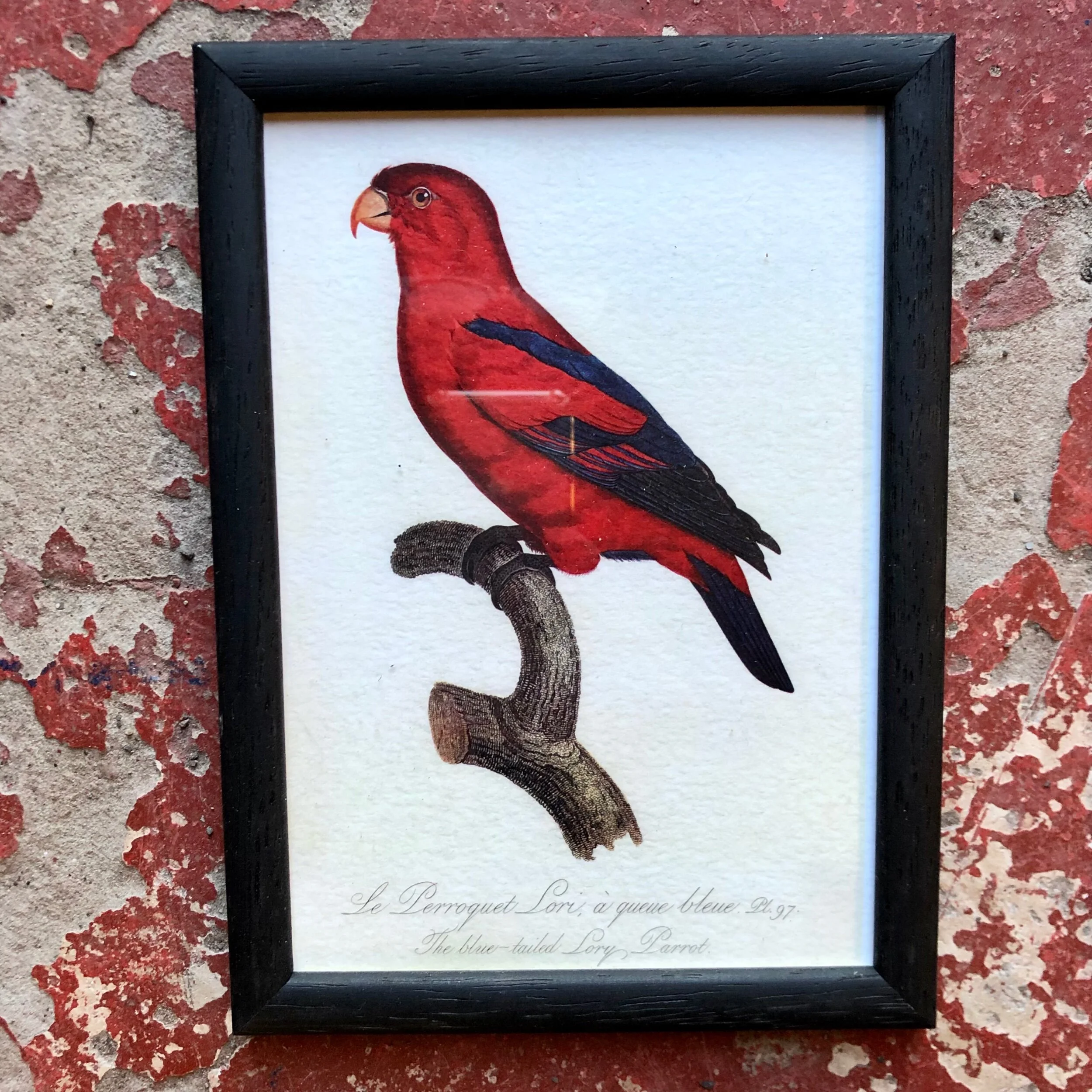 D40DD867-EDC9-4C00-97C1-4392E73920E4