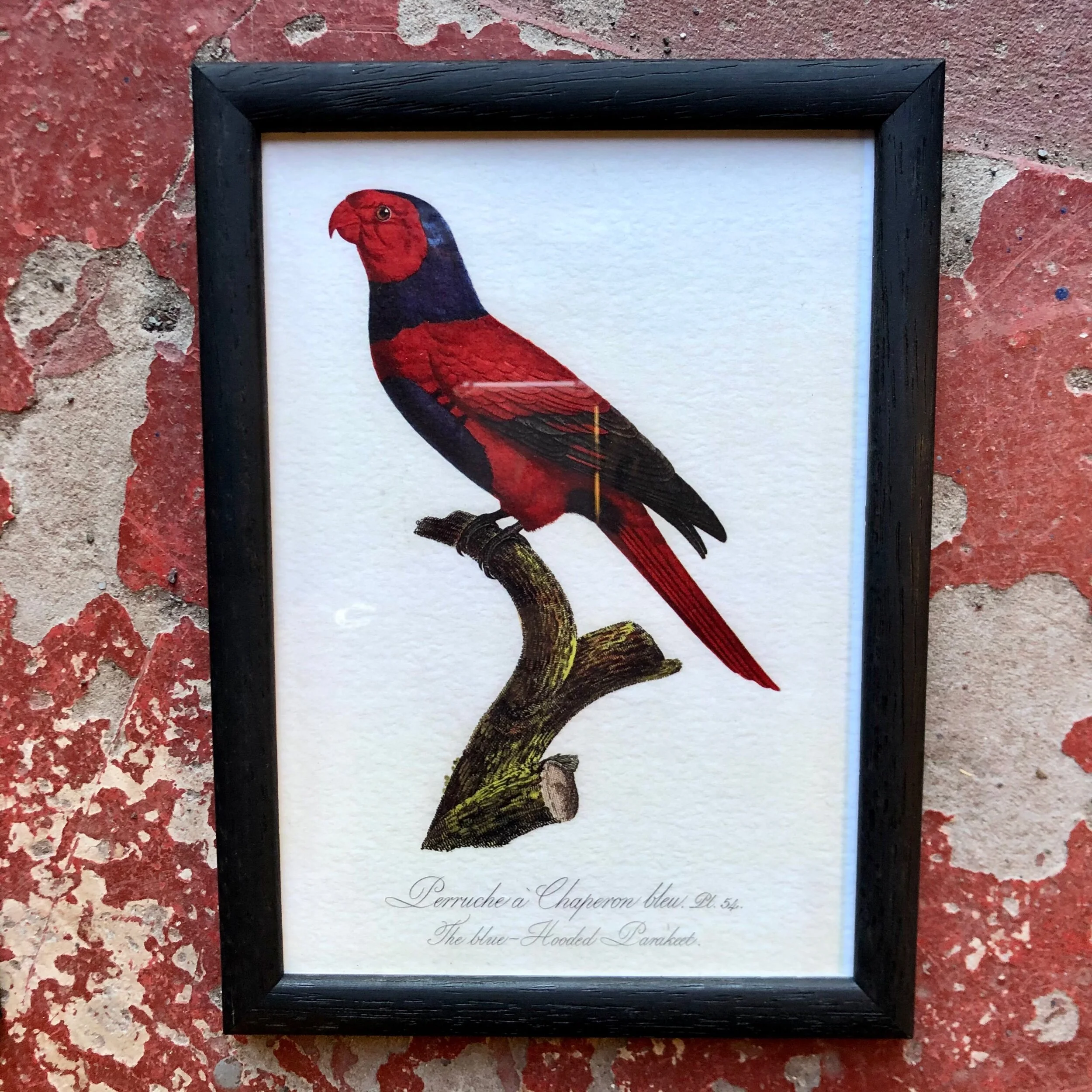 E84DEF9D-60C2-407A-BA09-FA01006EBE3B