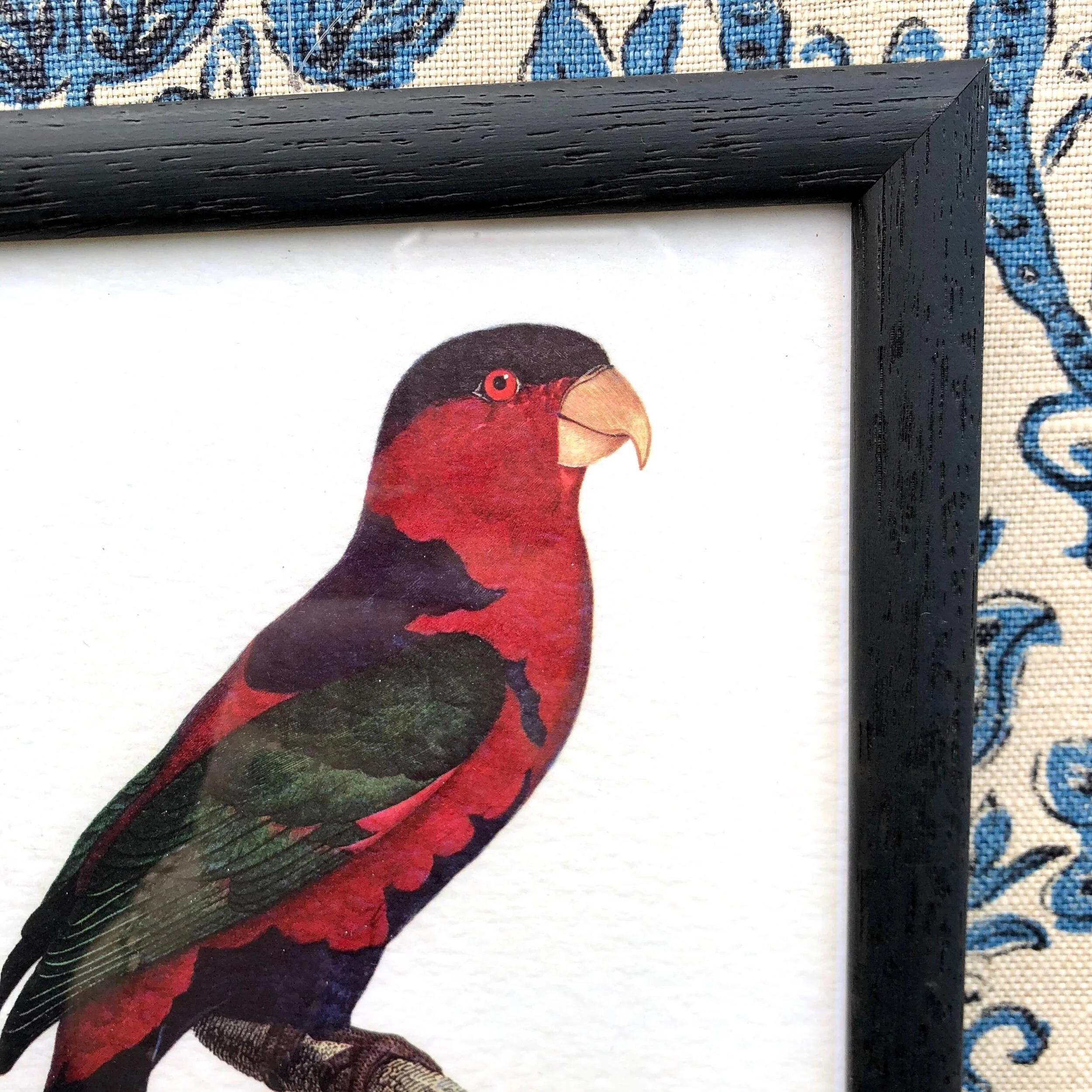 467B6511-4008-4065-A548-B2F8C5A73DF0