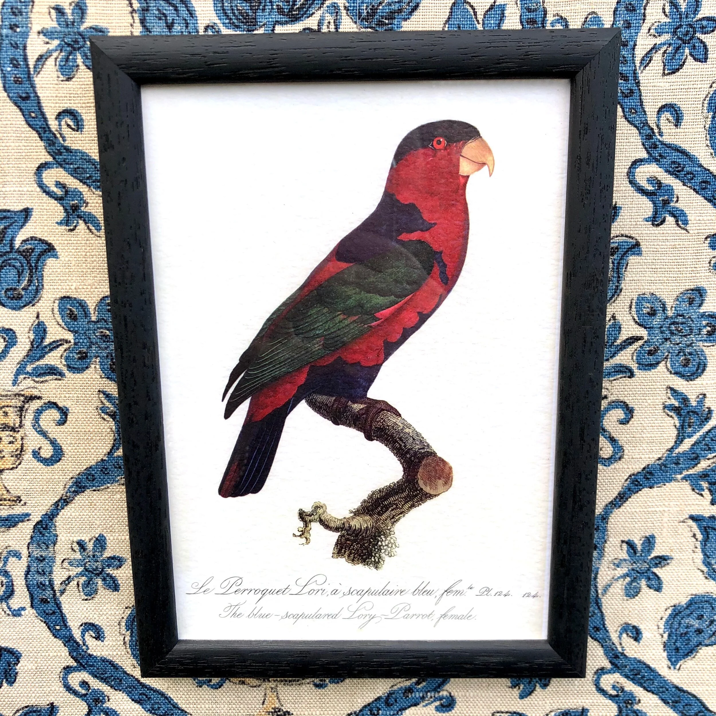 9EF3C50B-4AF7-41E3-9225-B944091C2144