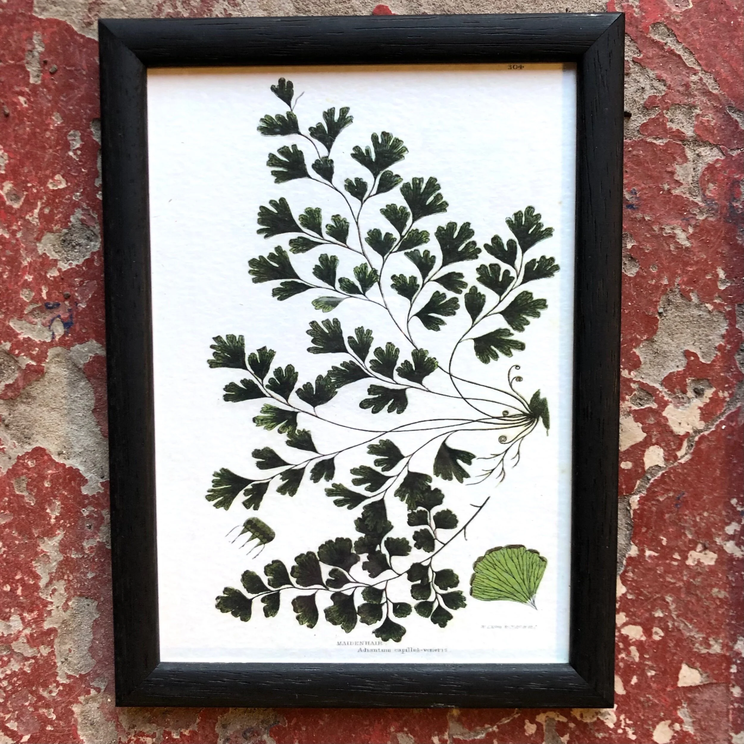 7D624C53-3FC0-4EE6-820D-C3B59453ACC1