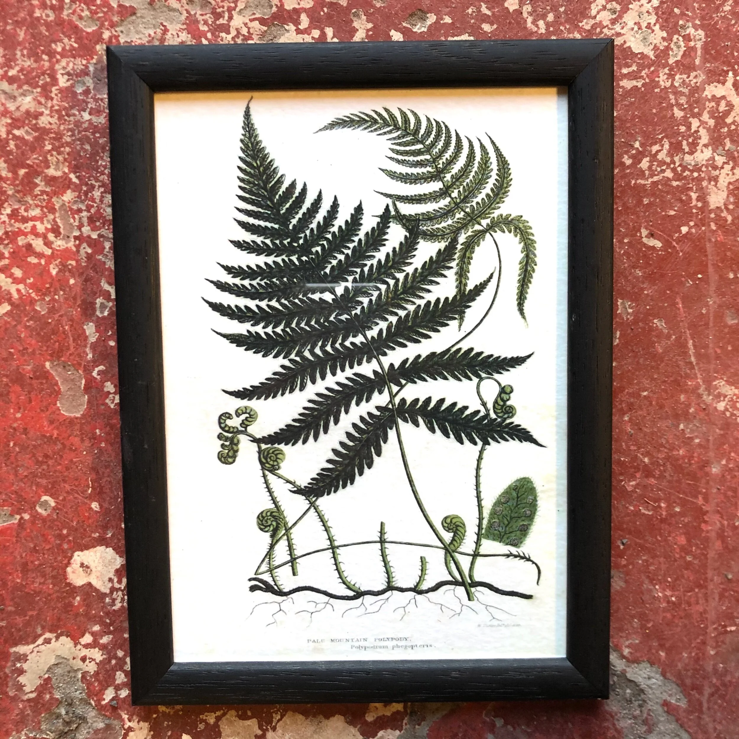 4BBE0711-0FBA-424B-9648-8222D1751FAF