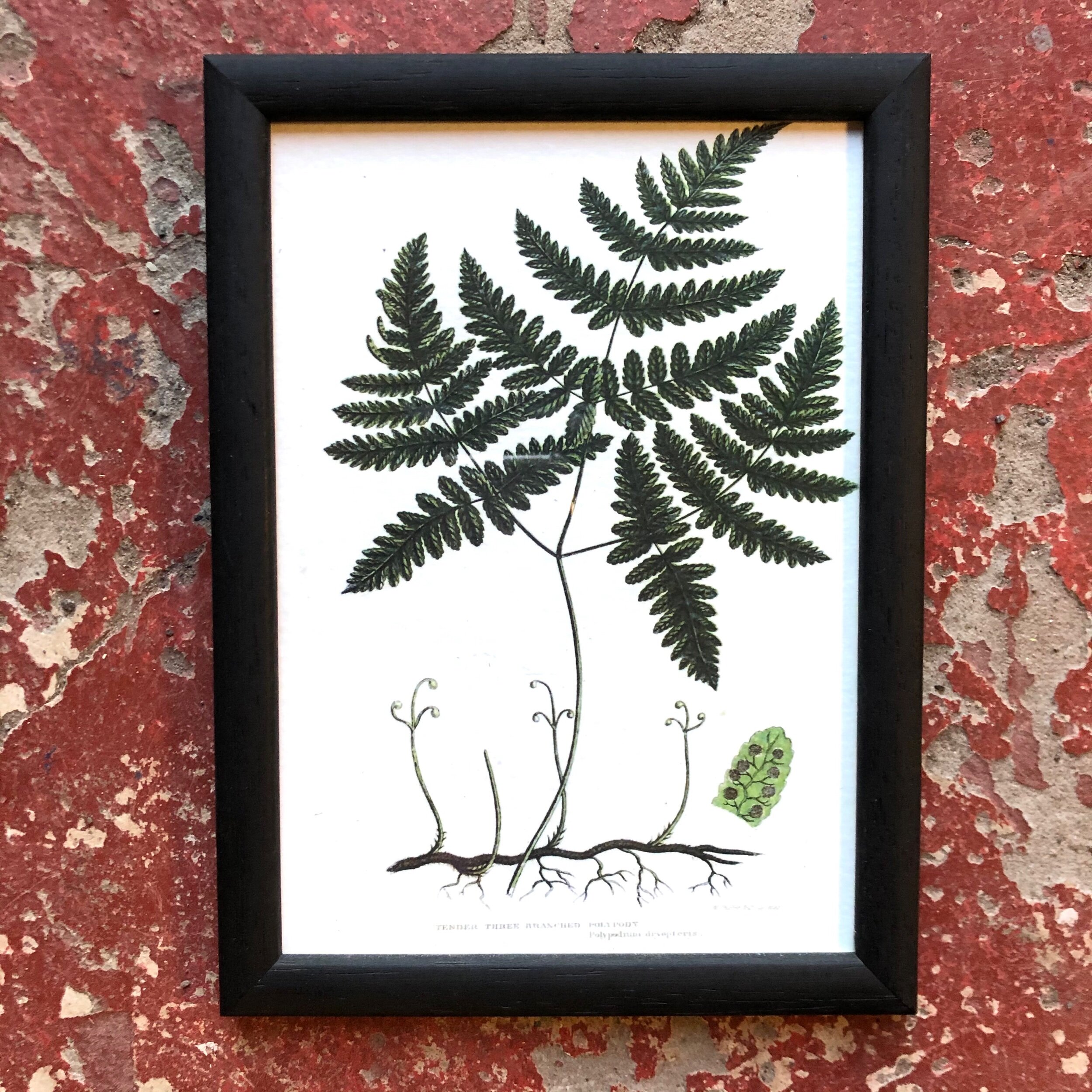 48A0017E-26D7-407E-9062-133AD3A56CF3