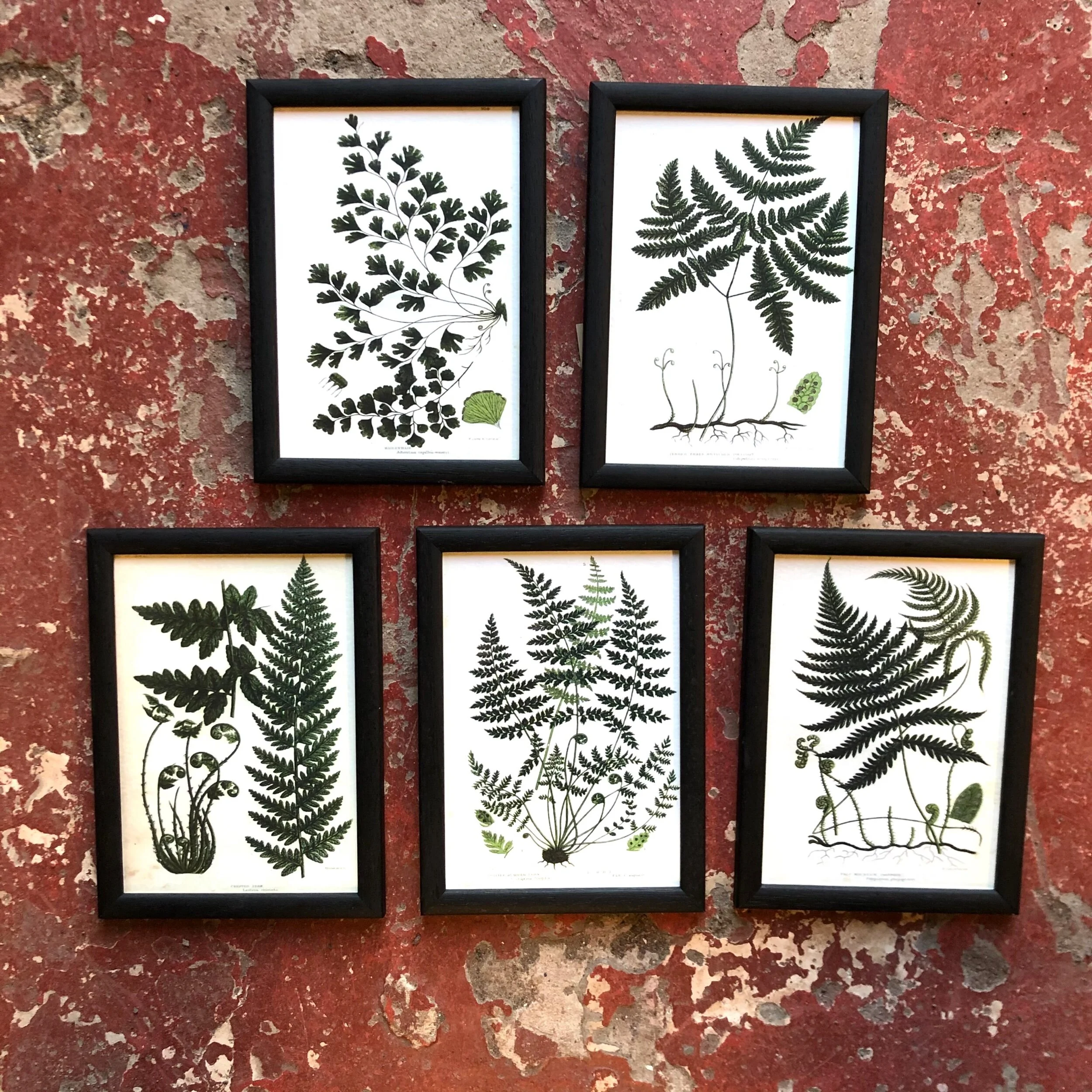 CCFAE1DB-5110-4A1C-B5A7-8517DD9AF2FA