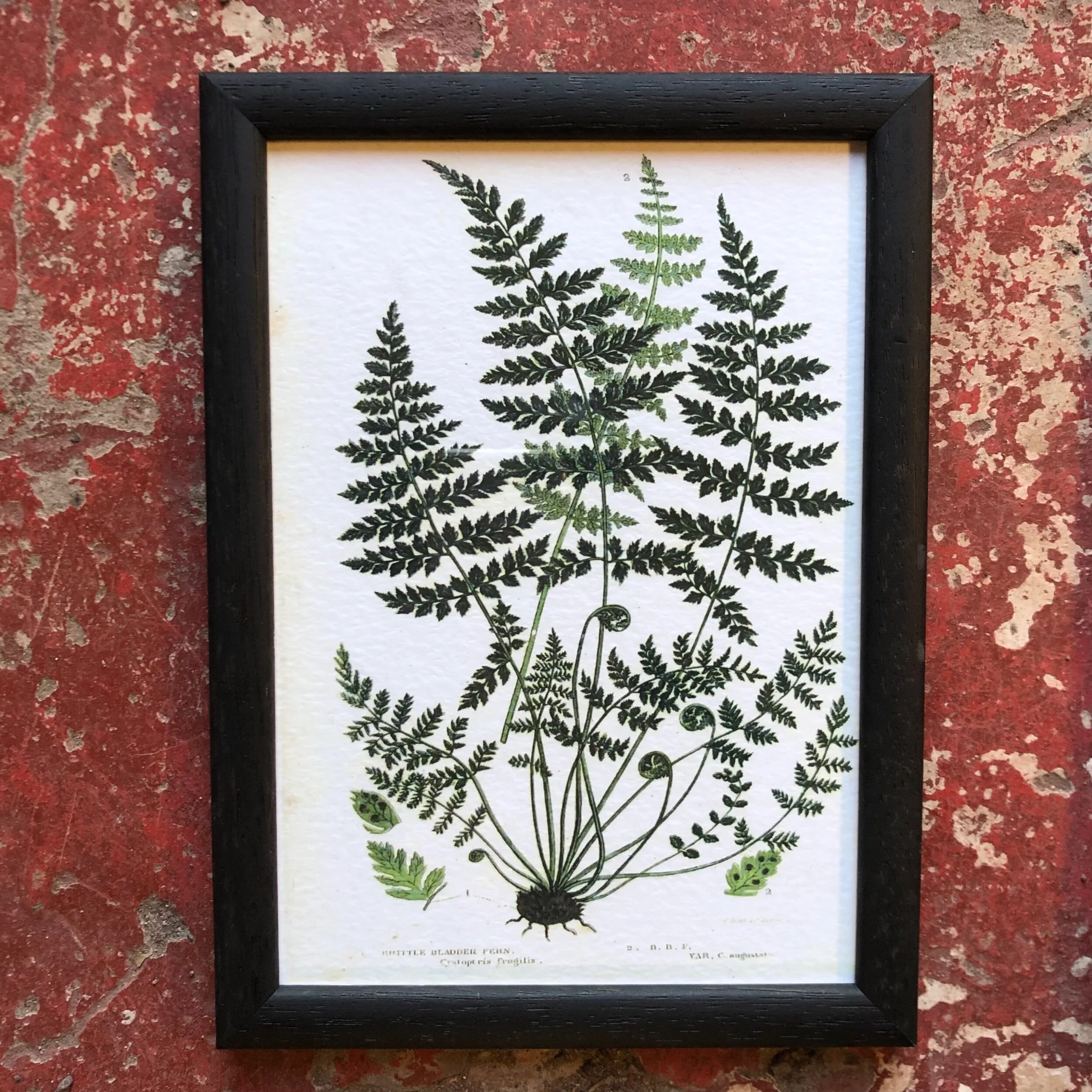 30340B4F-DE5E-4486-8BC3-8AE6010F4F34