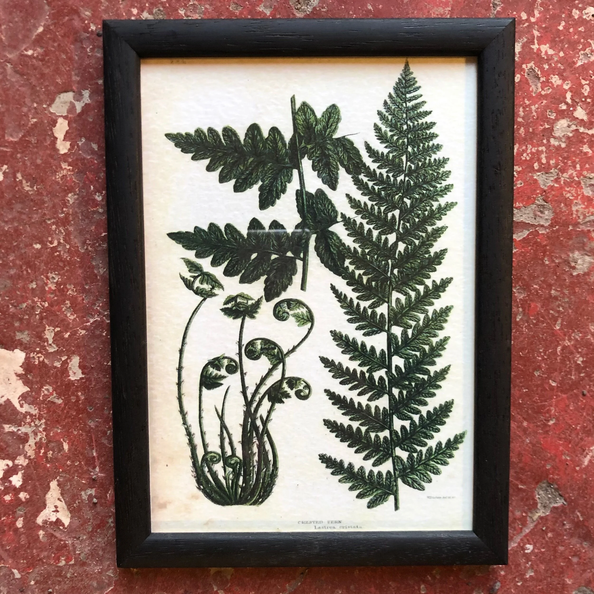 9C501720-3D97-4ADD-AAD5-3E4A51198504