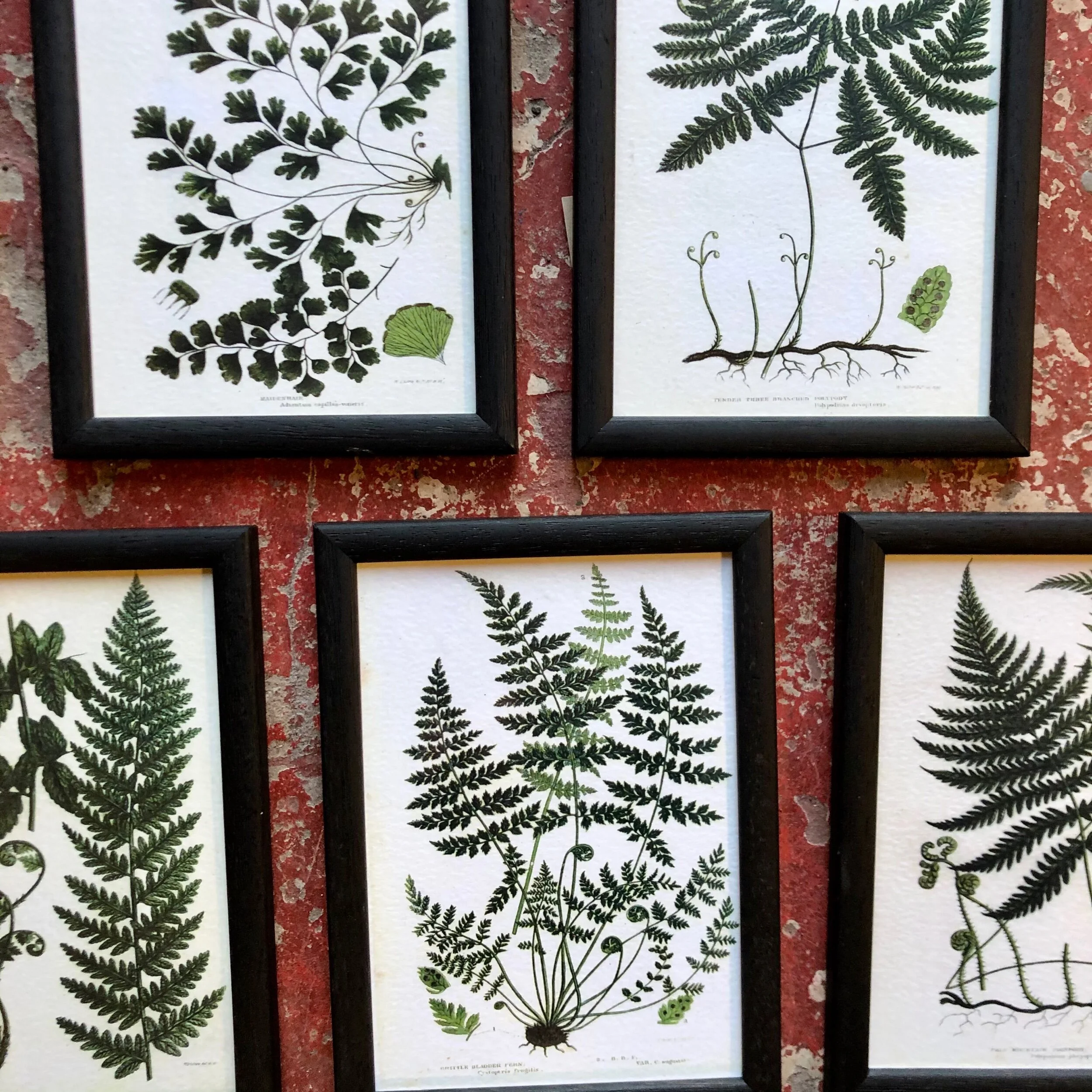 66BD5CF4-2629-4718-84AB-ACA6AFC4DE64