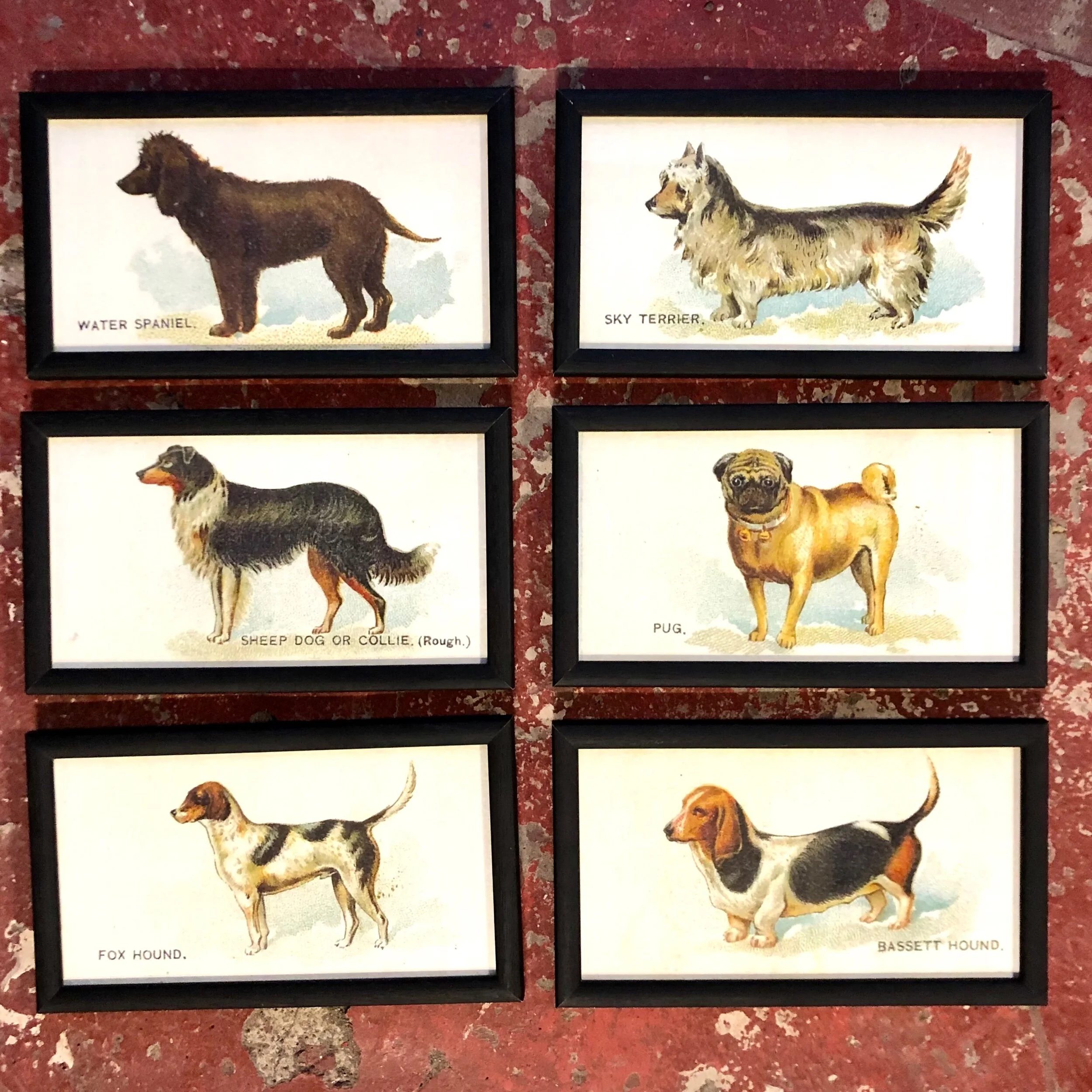 7088C06A-9111-48ED-B6DB-9BECC8B20992