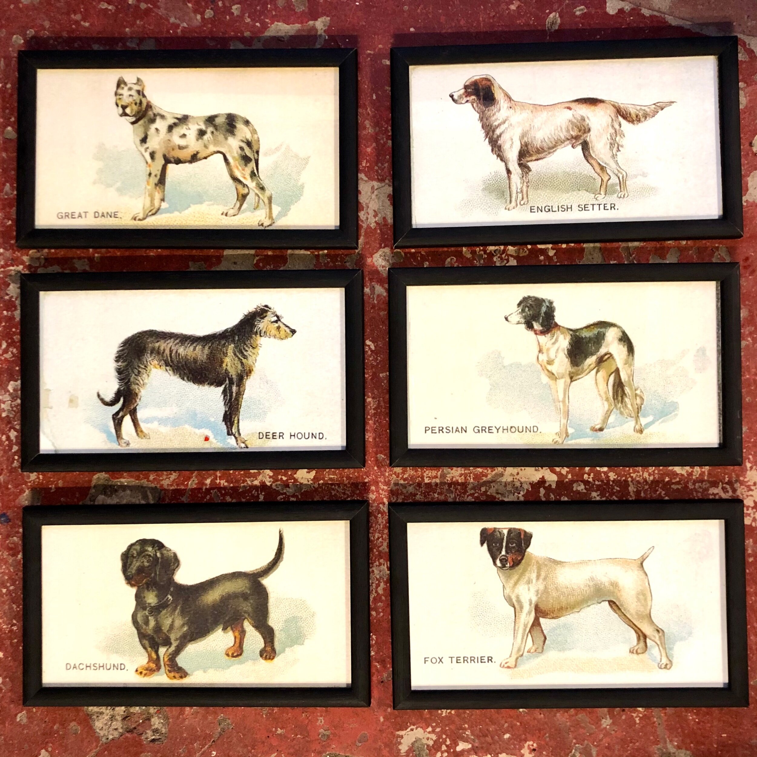 A345B2F2-42CC-42A0-BA5A-685137CD4DCA