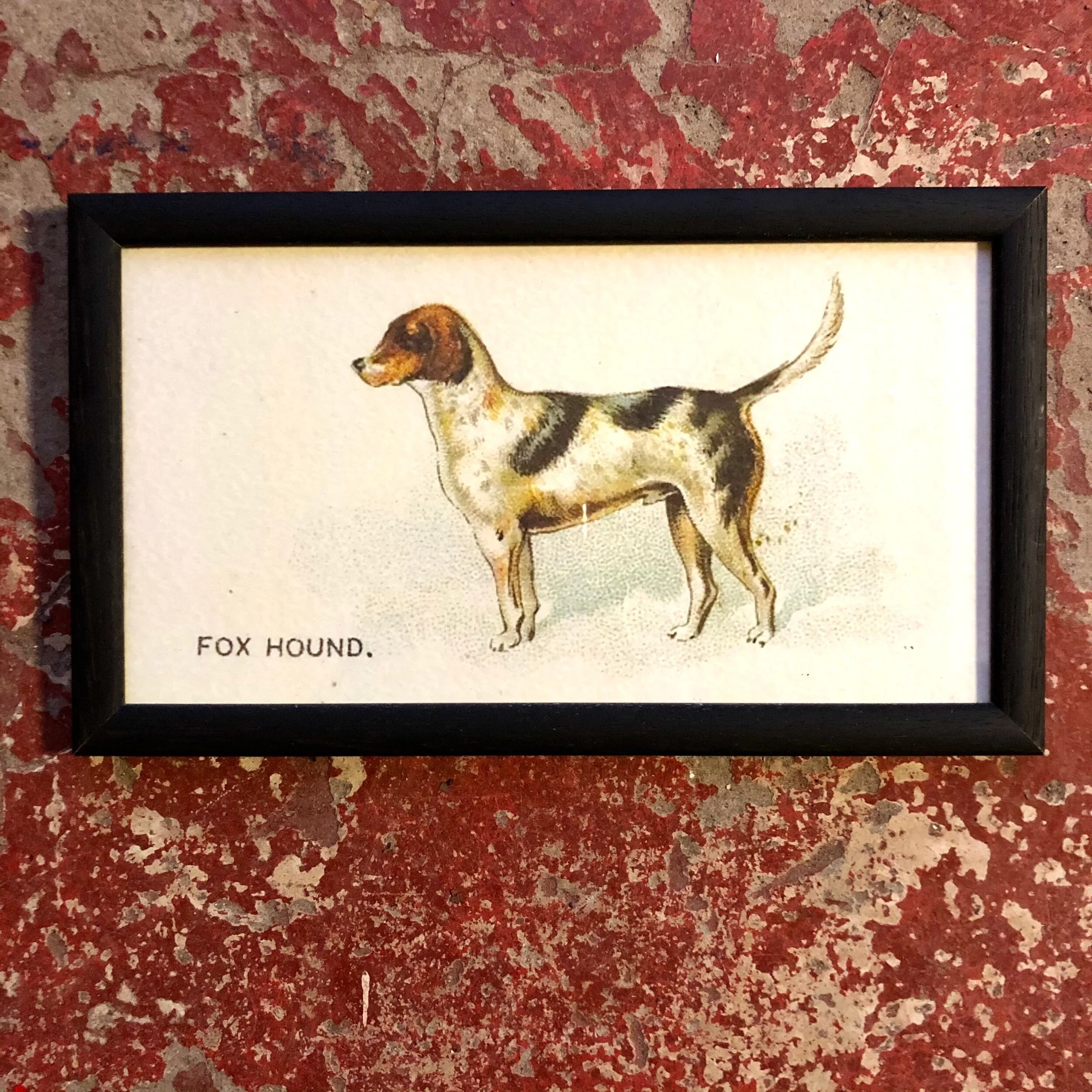 21465DF9-AAD0-4696-809D-77AFCFBA2C31