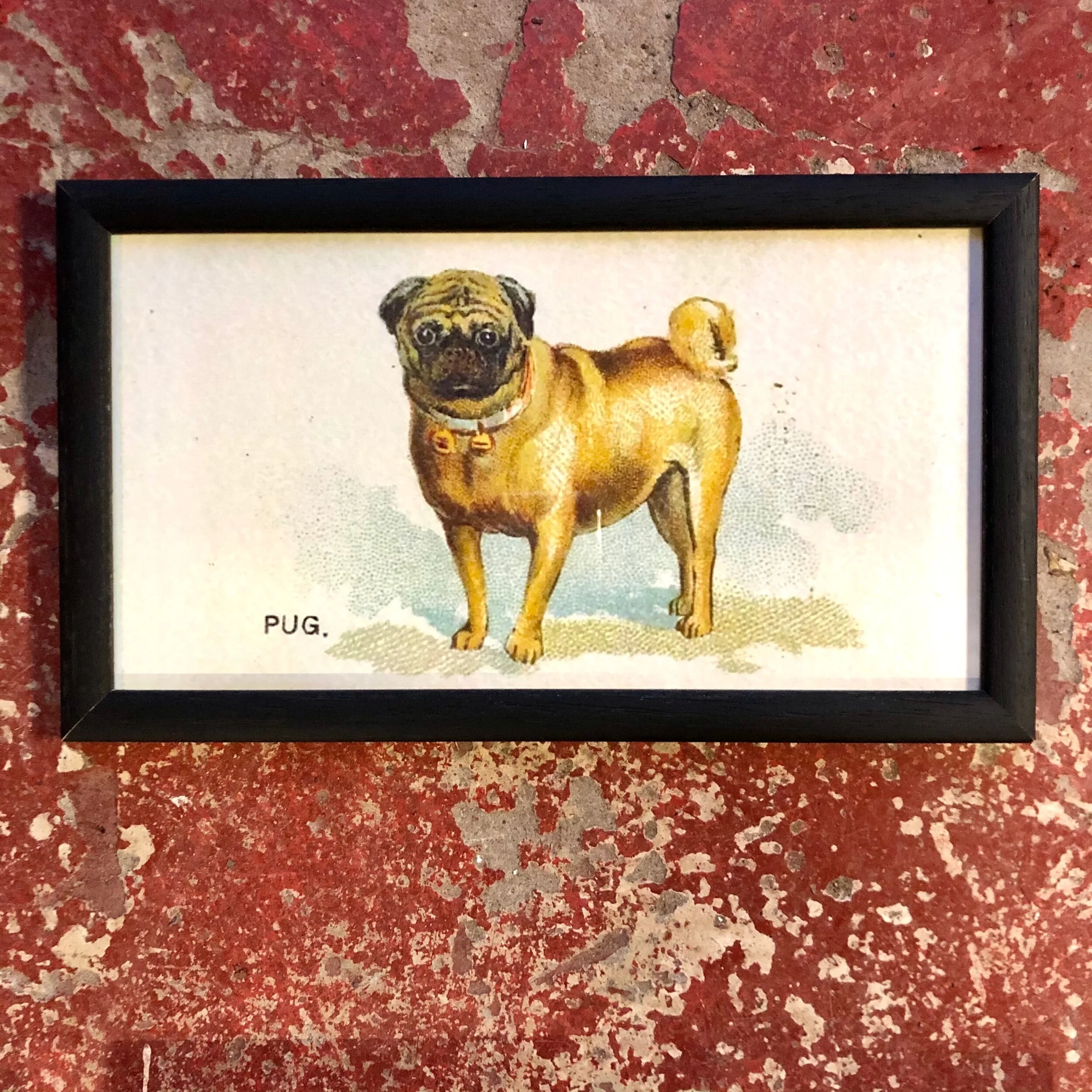 8DD353C0-B3BE-4D82-851F-40B57D53B38C