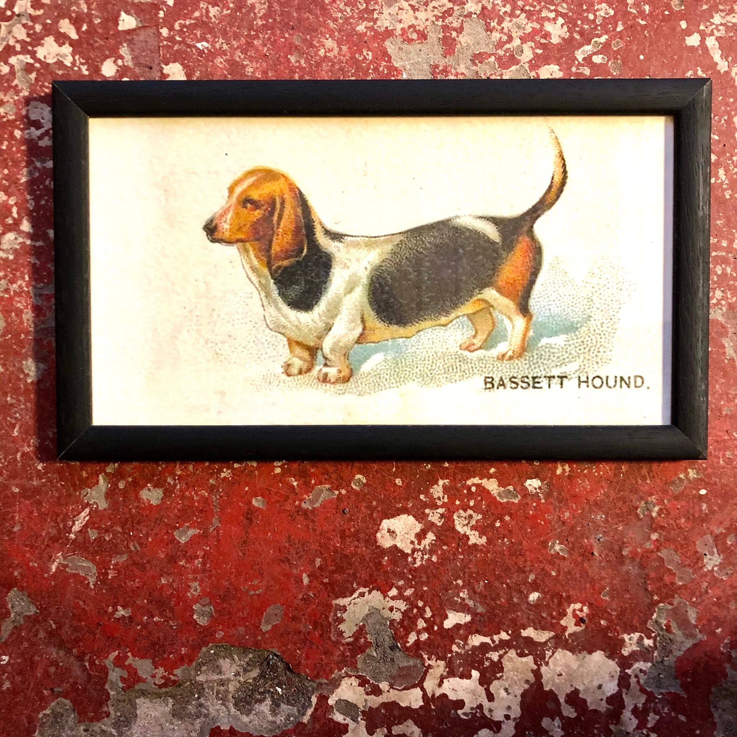 766CBF0B-FB01-48AC-A512-F1F589DBB487