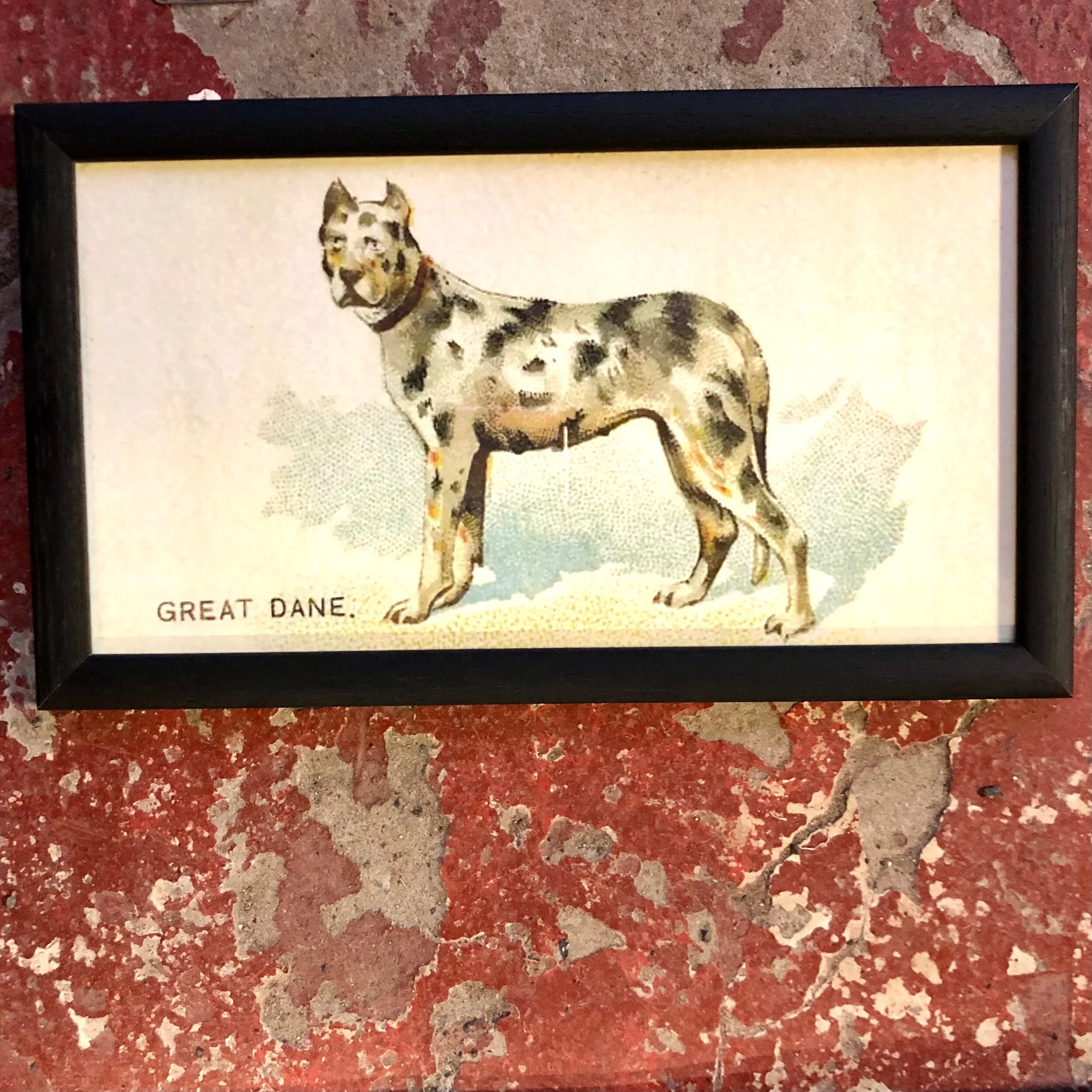 29AD5A46-530D-499B-AC0D-106BA5901D7F